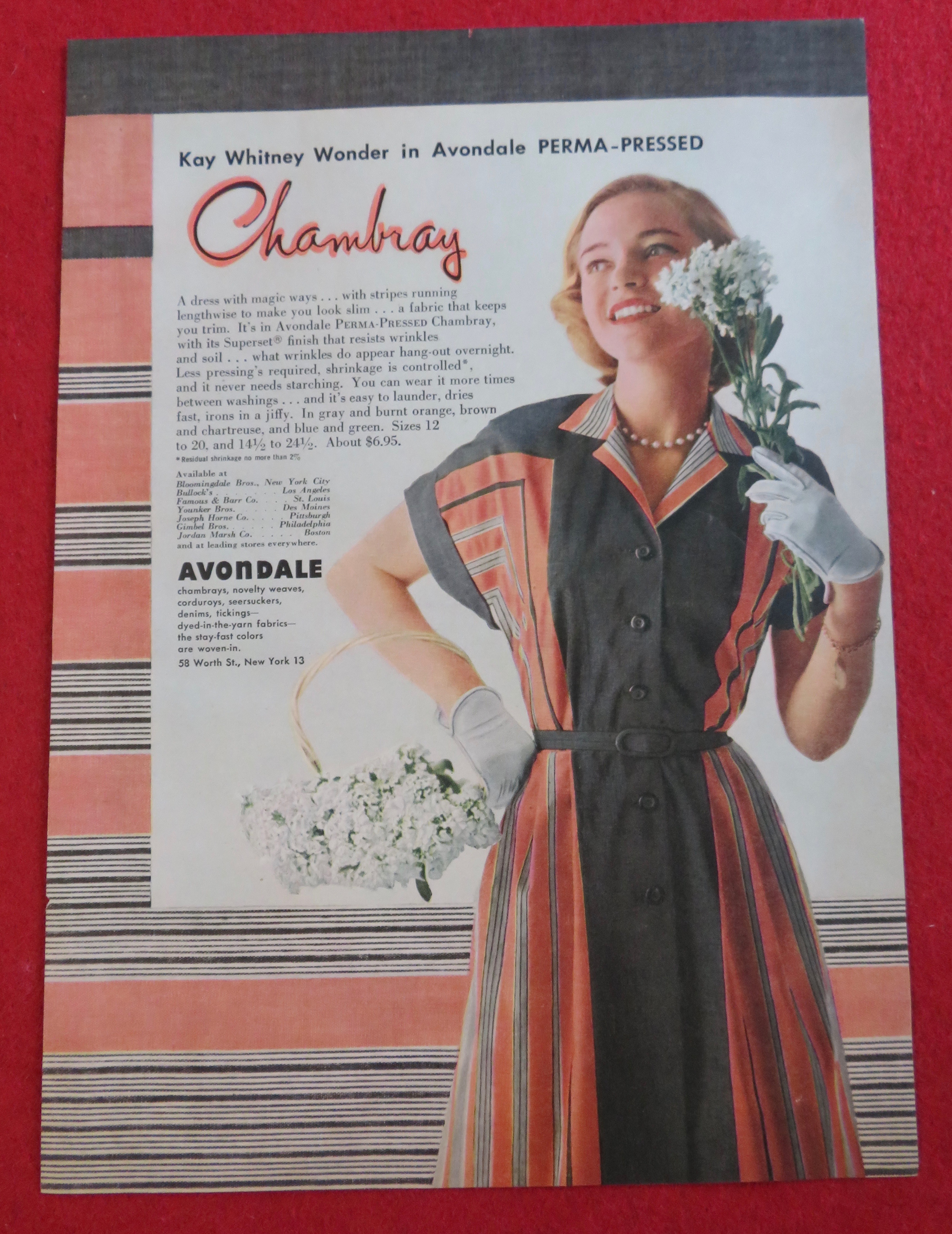 1951 Avondale Chambray with Woman In Dress