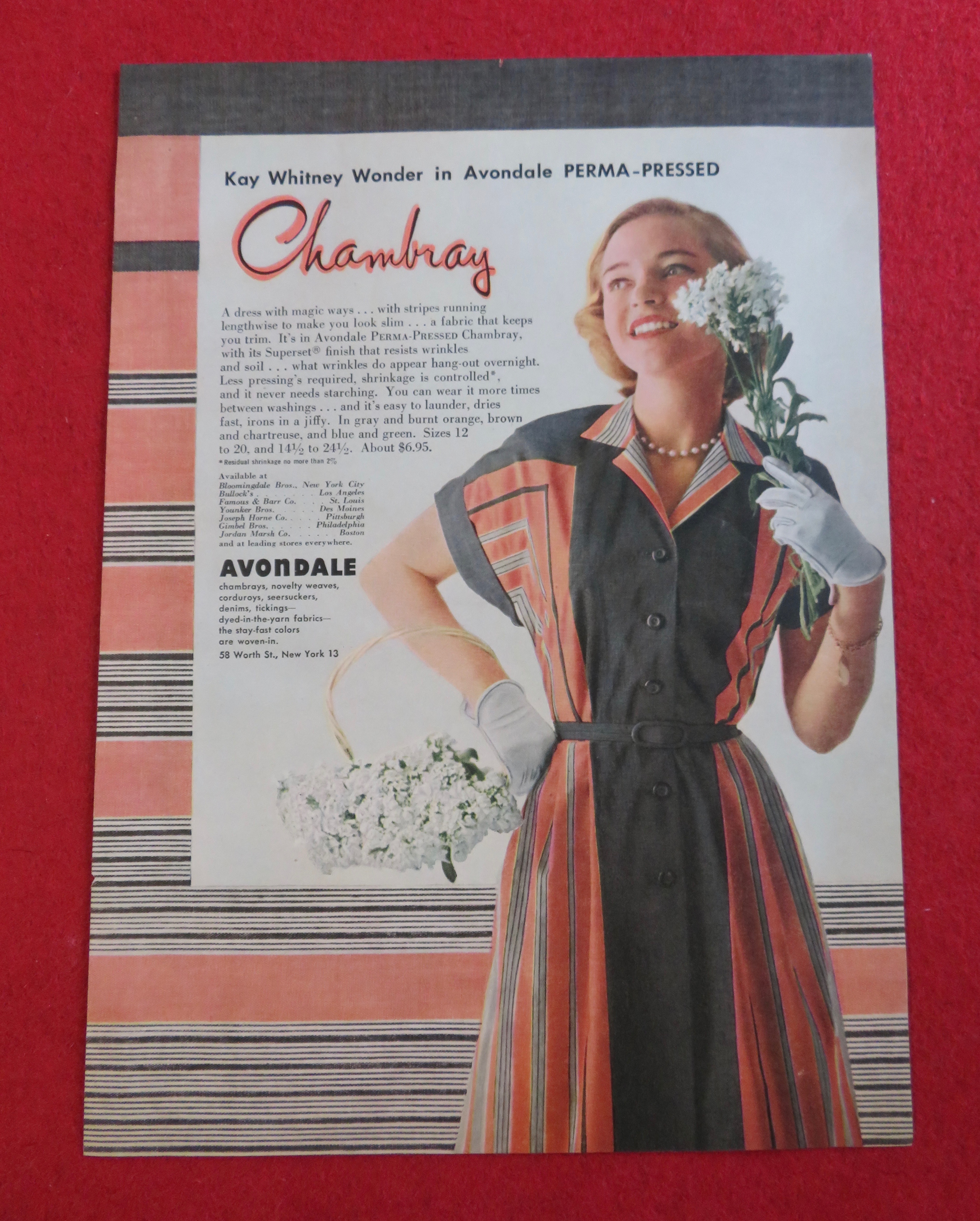 1951 Avondale Chambray with Woman In Dress