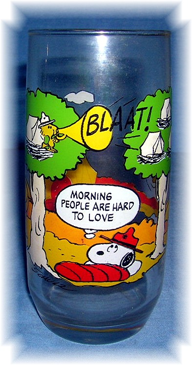 Camp Snoopy Collector Glass