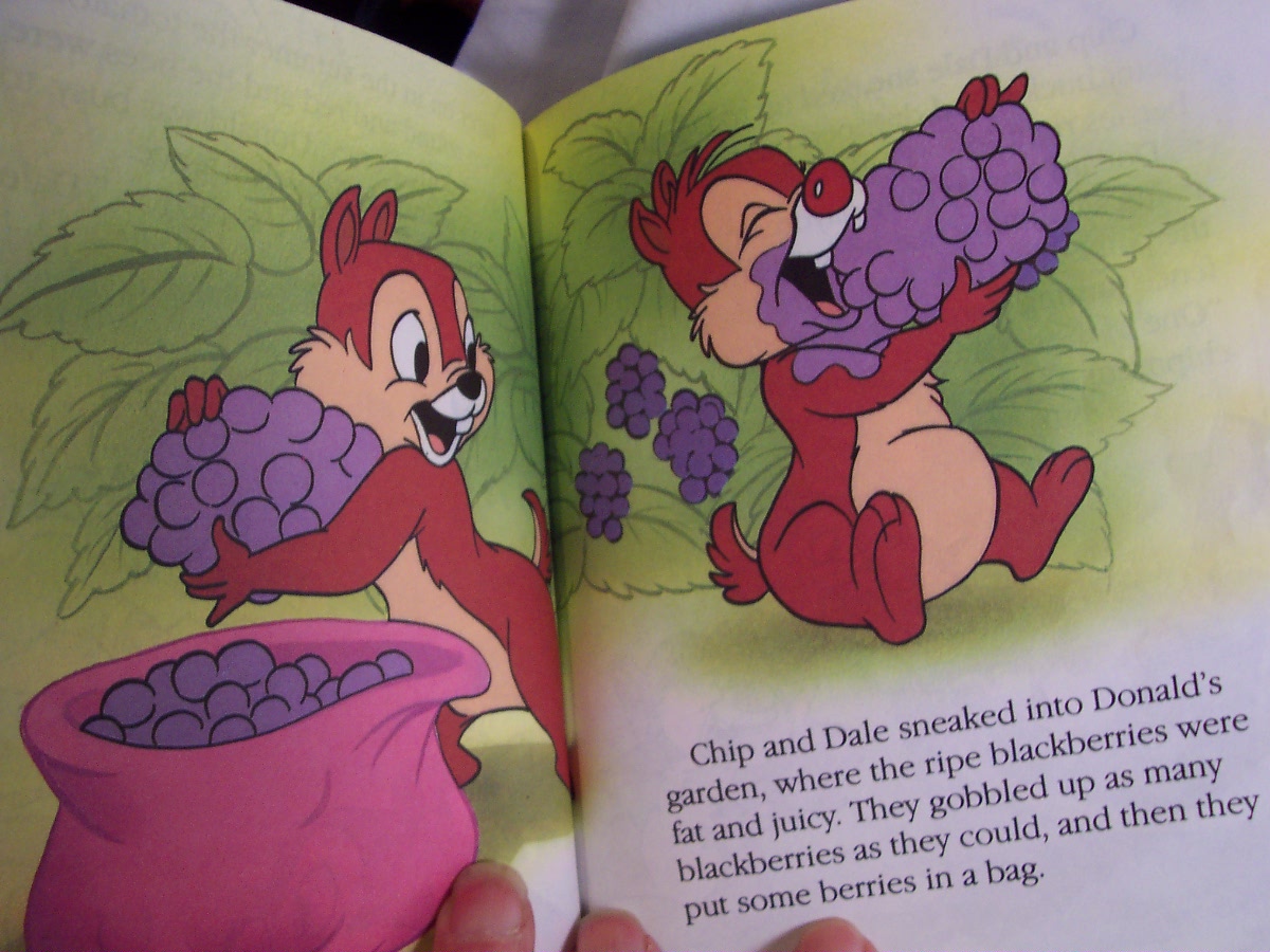 Dennis the Menace and Chip and Dale Books