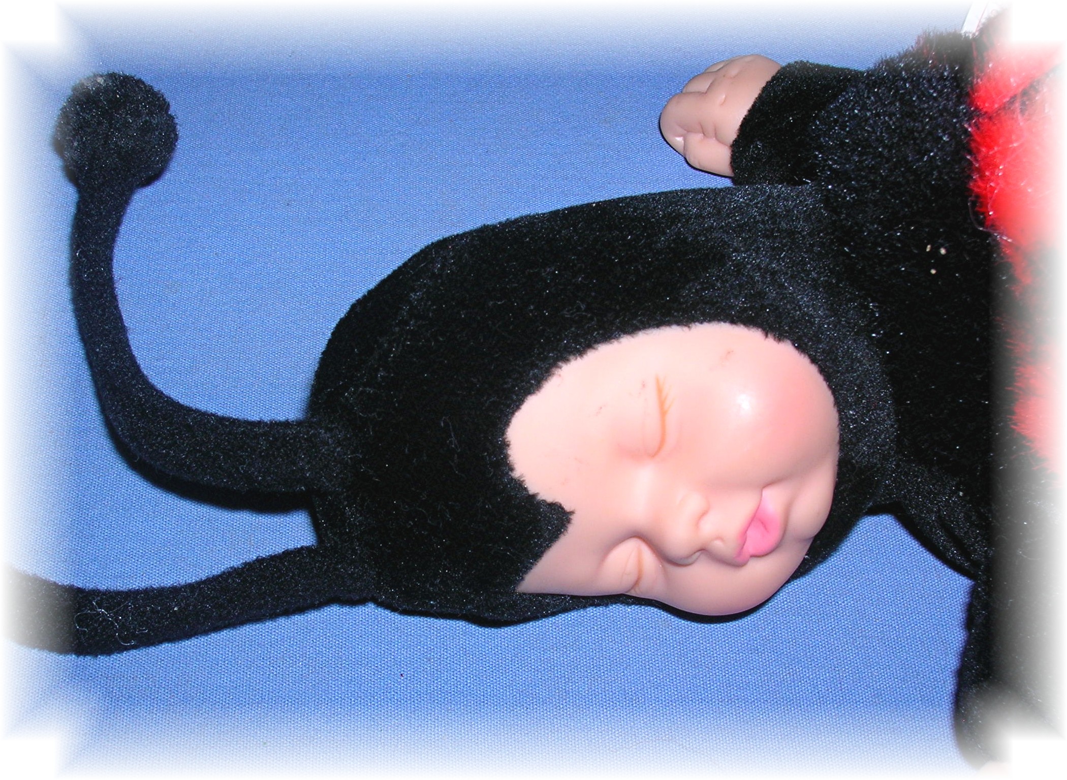 Anne Geddes Baby Ladybug