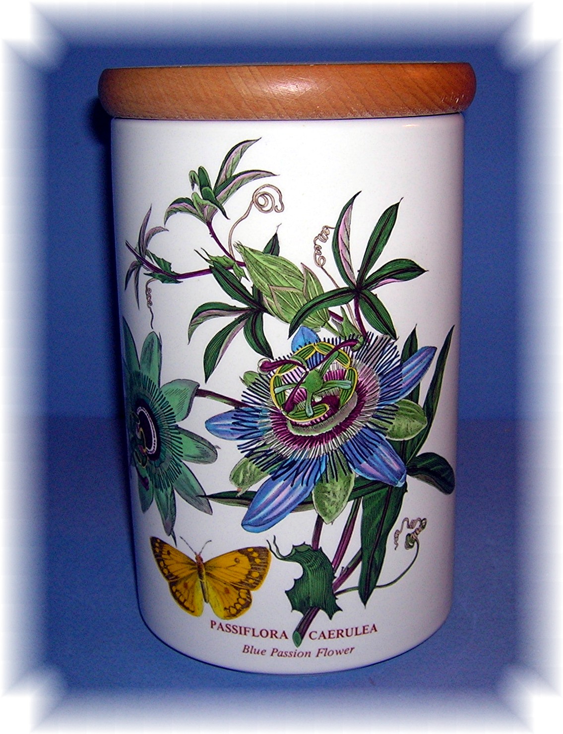 Portmeirion Blue Passion Flower Kitchen Jar.