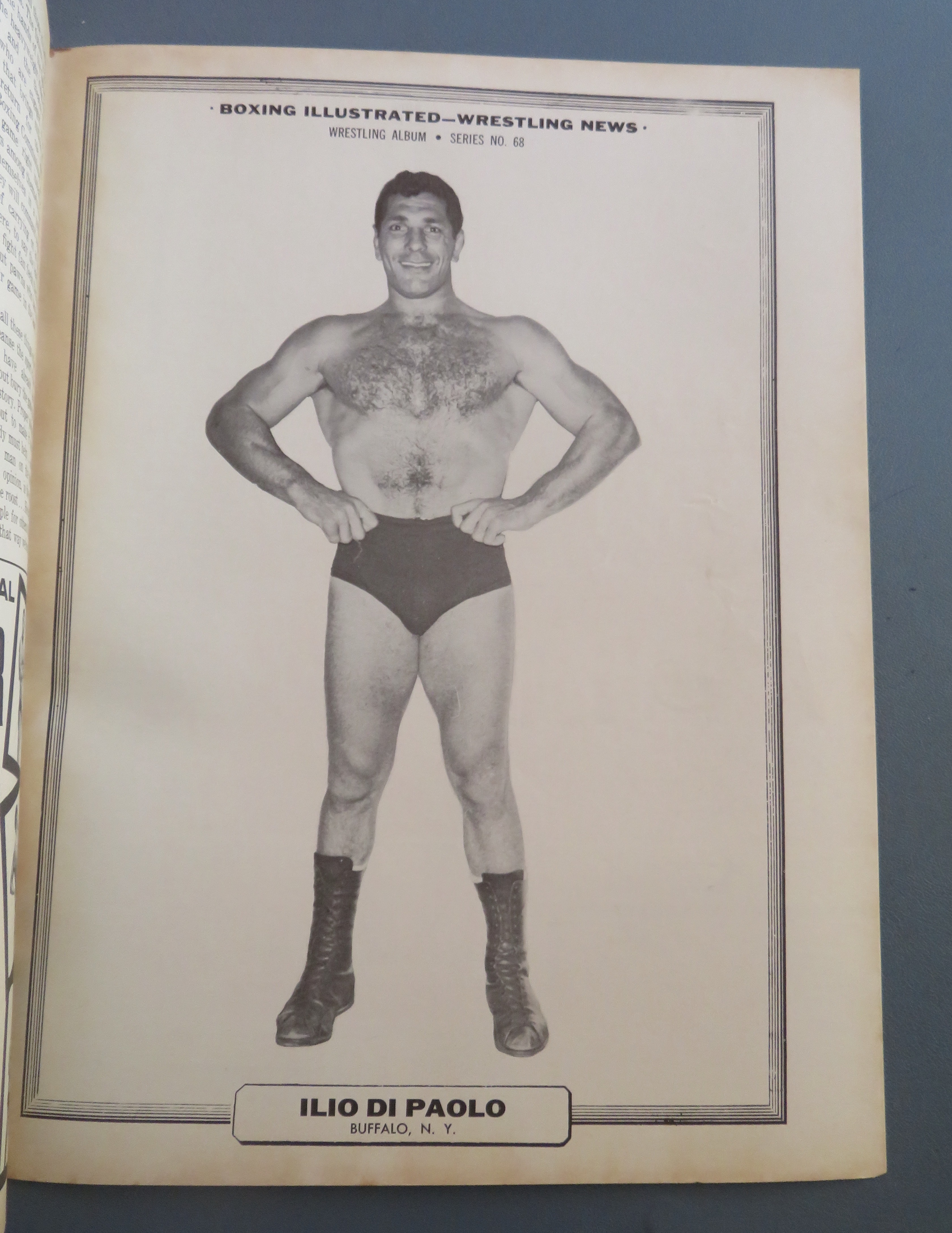 Boxing Illustrated Wrestling Magazine December 1964