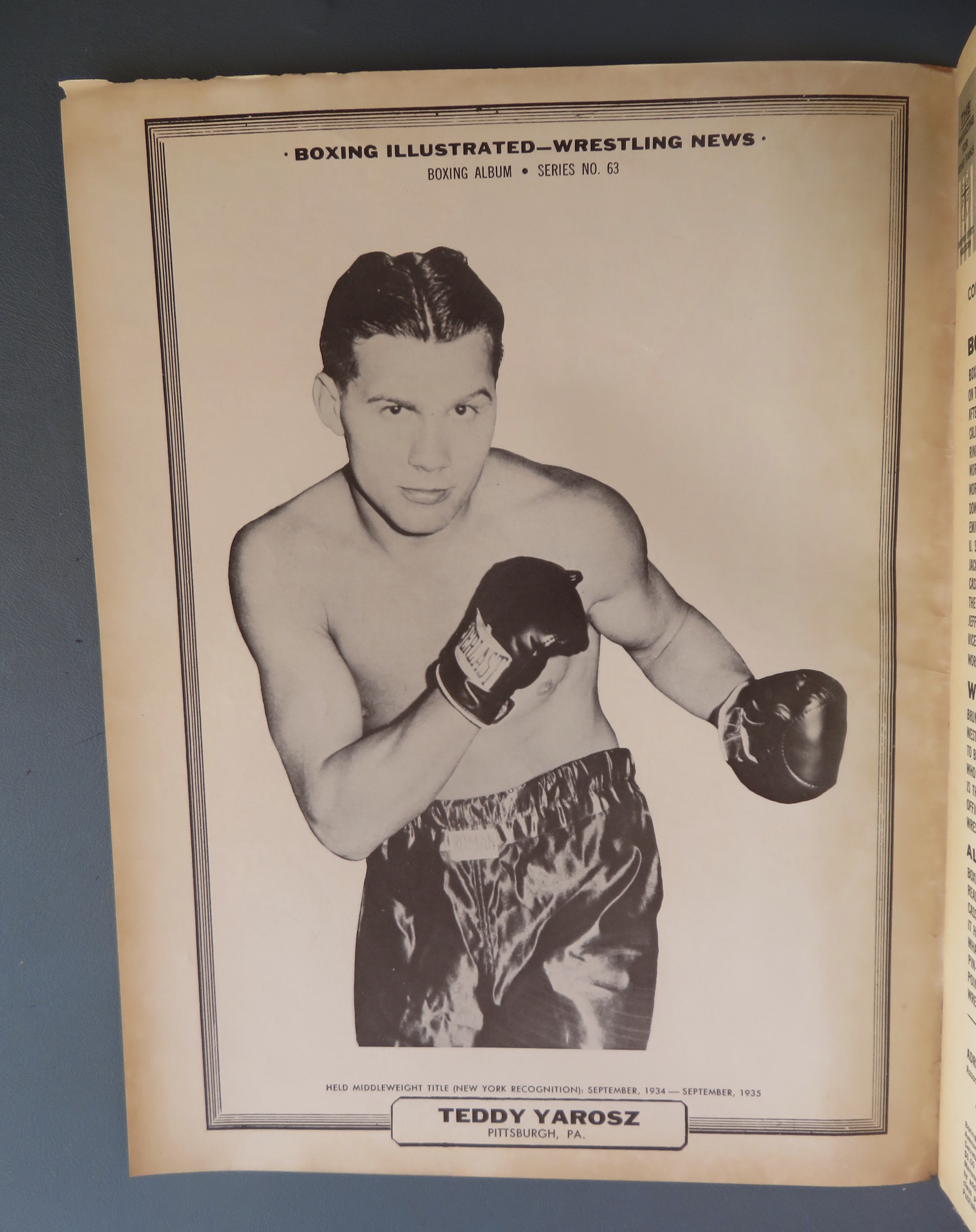 Boxing Illustrated Wrestling Magazine December 1964