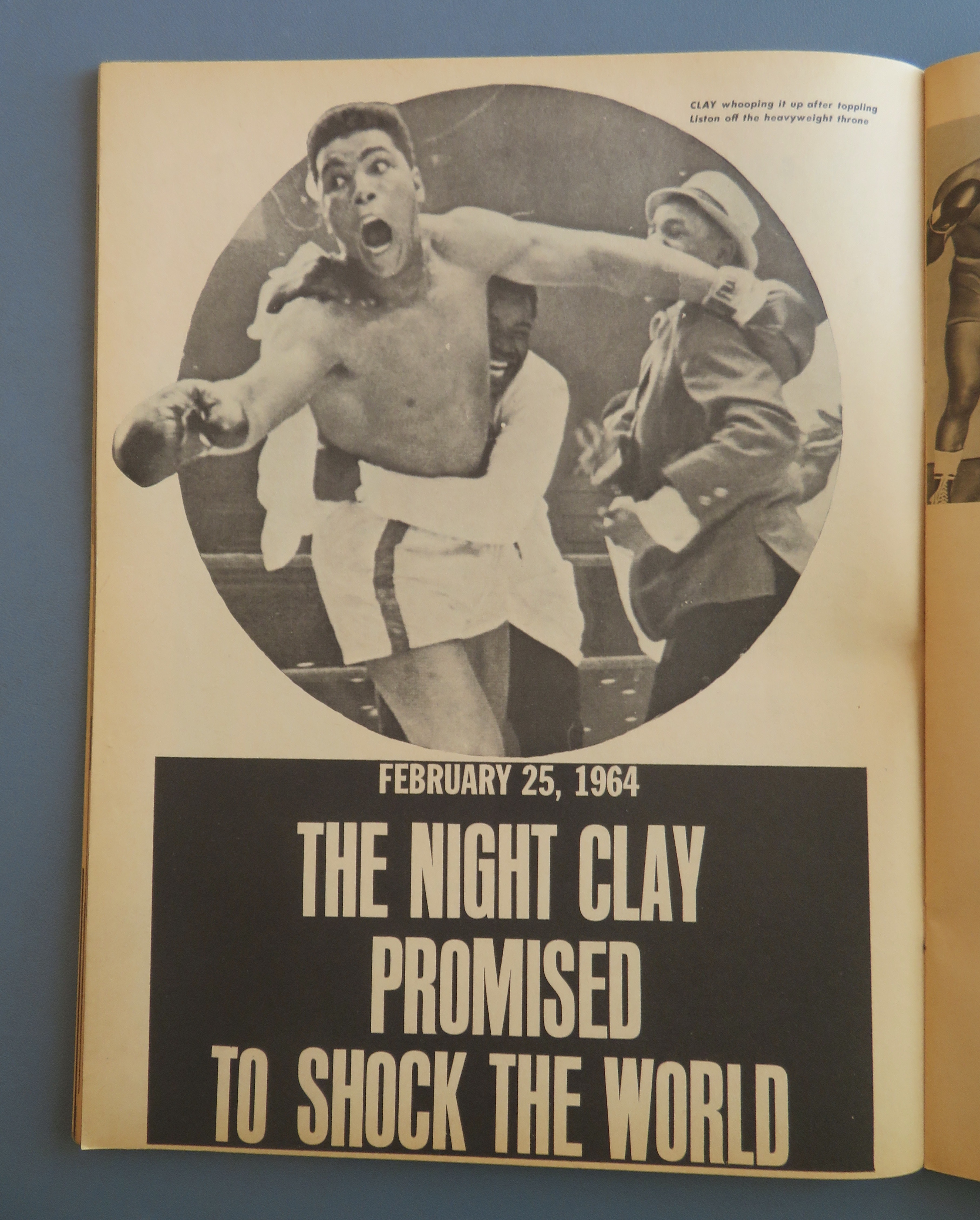 Boxing Illustrated Wrestling Magazine December 1964