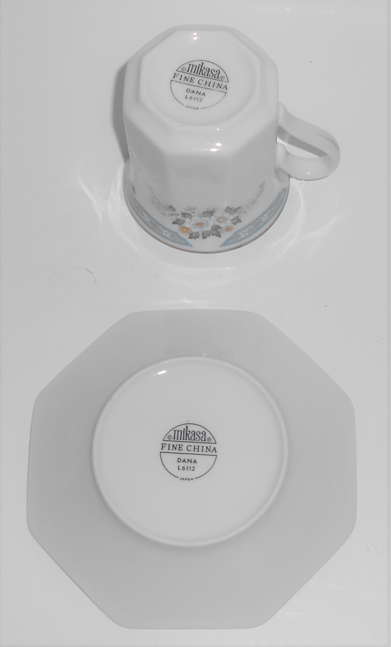Mikasa Fine China Platinum Band Dana Cup & Saucer Set