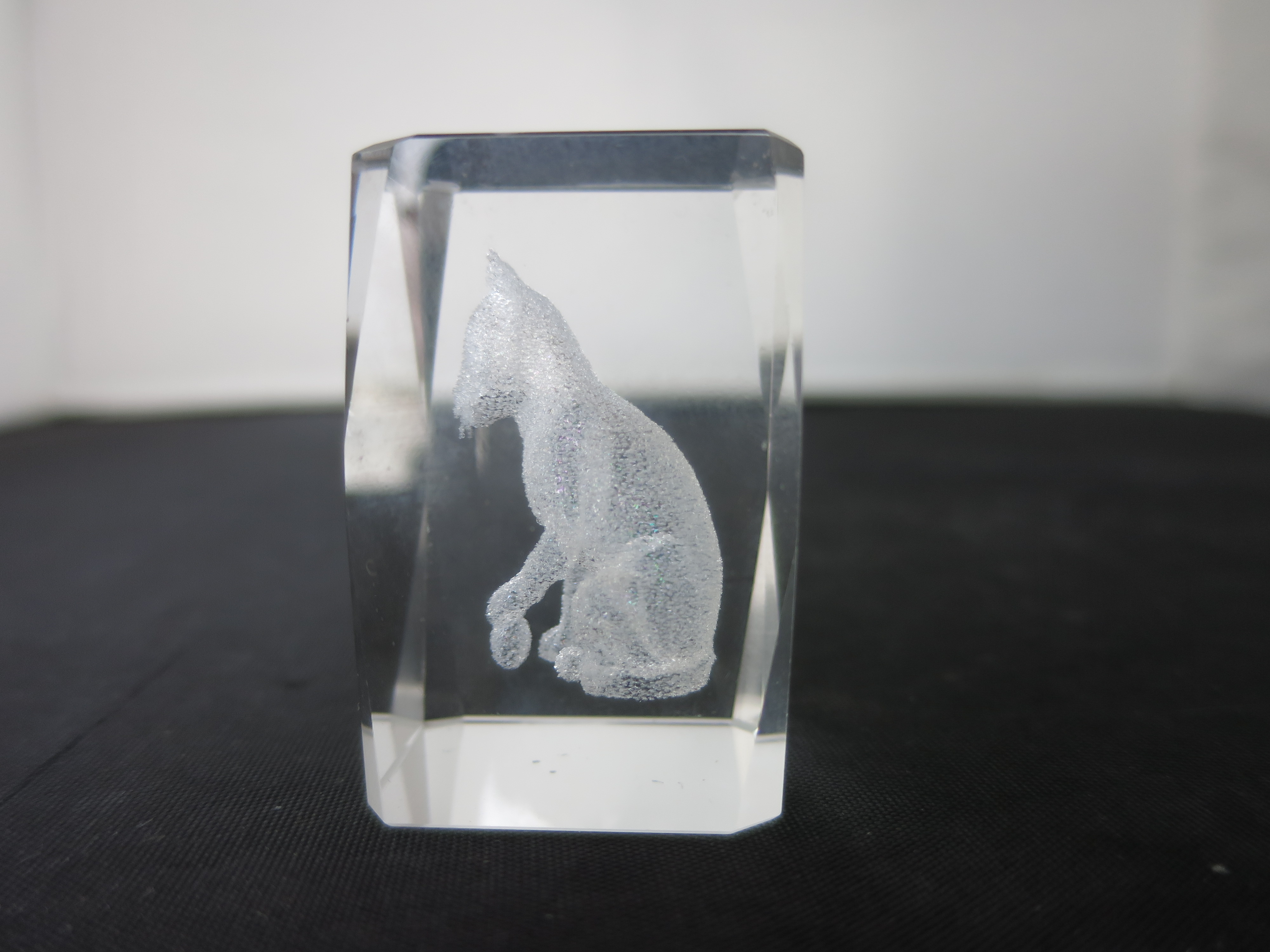 3 D Laser Engraved Crystal Cat Paperweight