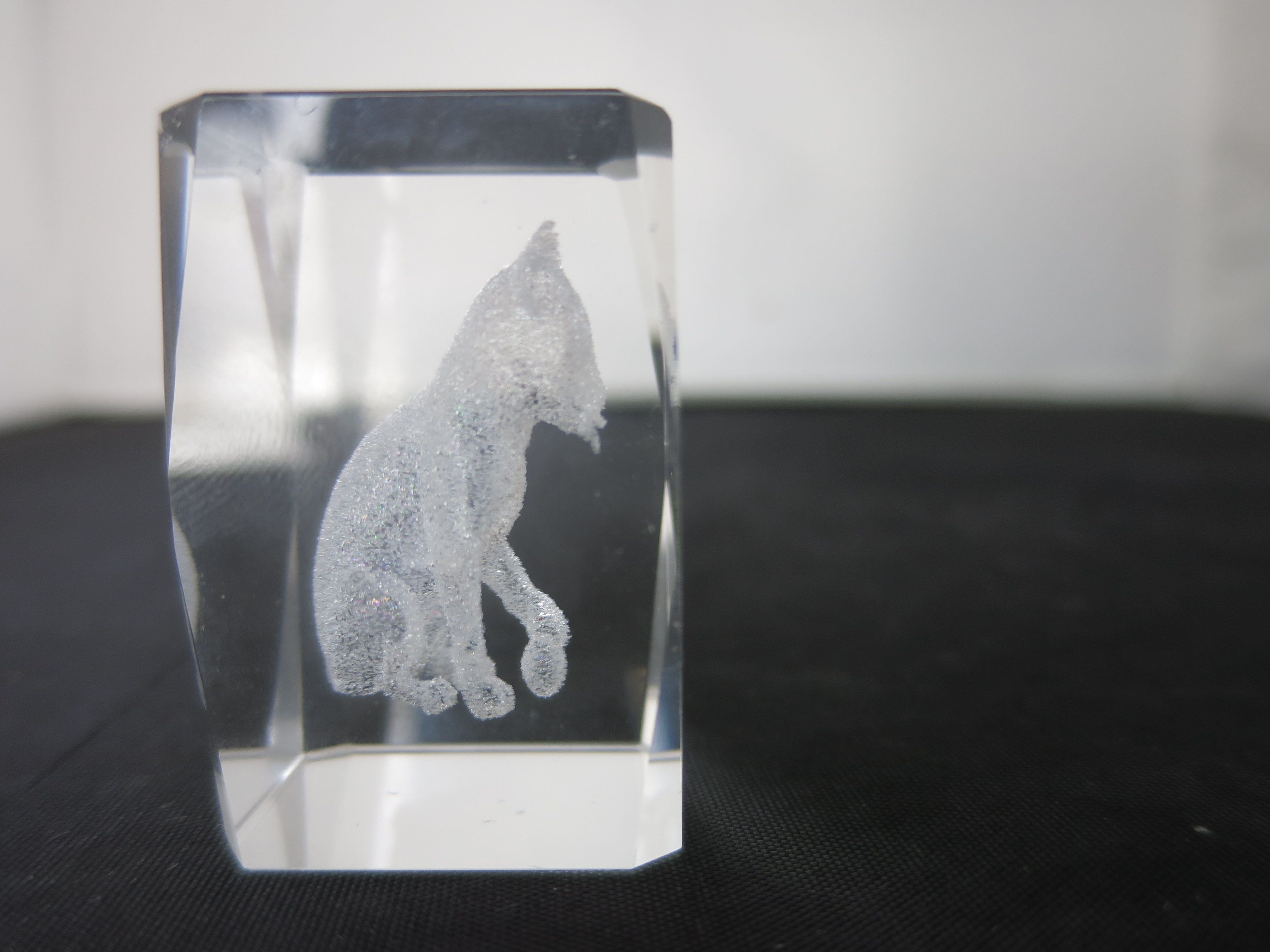 3 D Laser Engraved Crystal Cat Paperweight