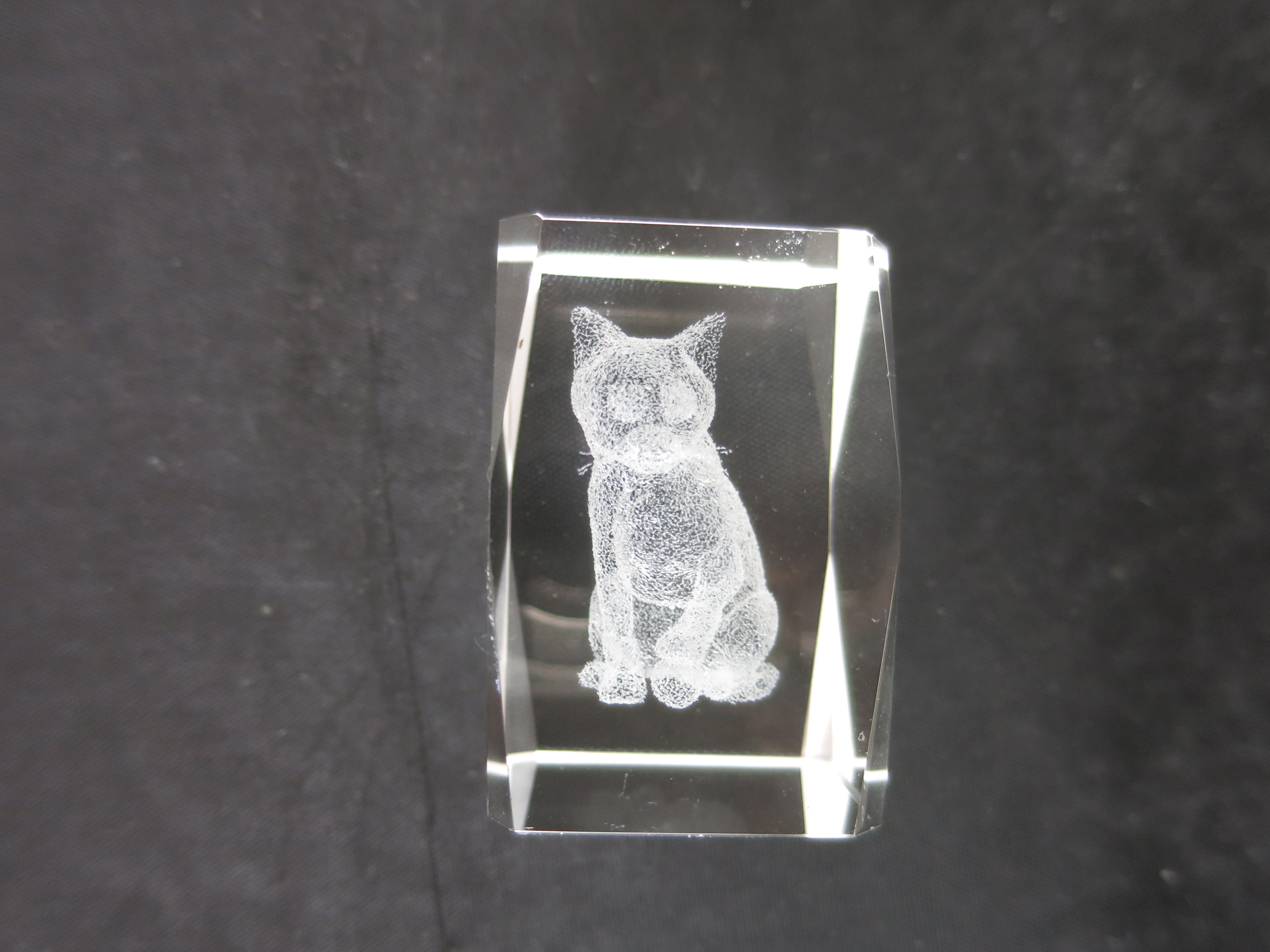 3 D Laser Engraved Crystal Cat Paperweight