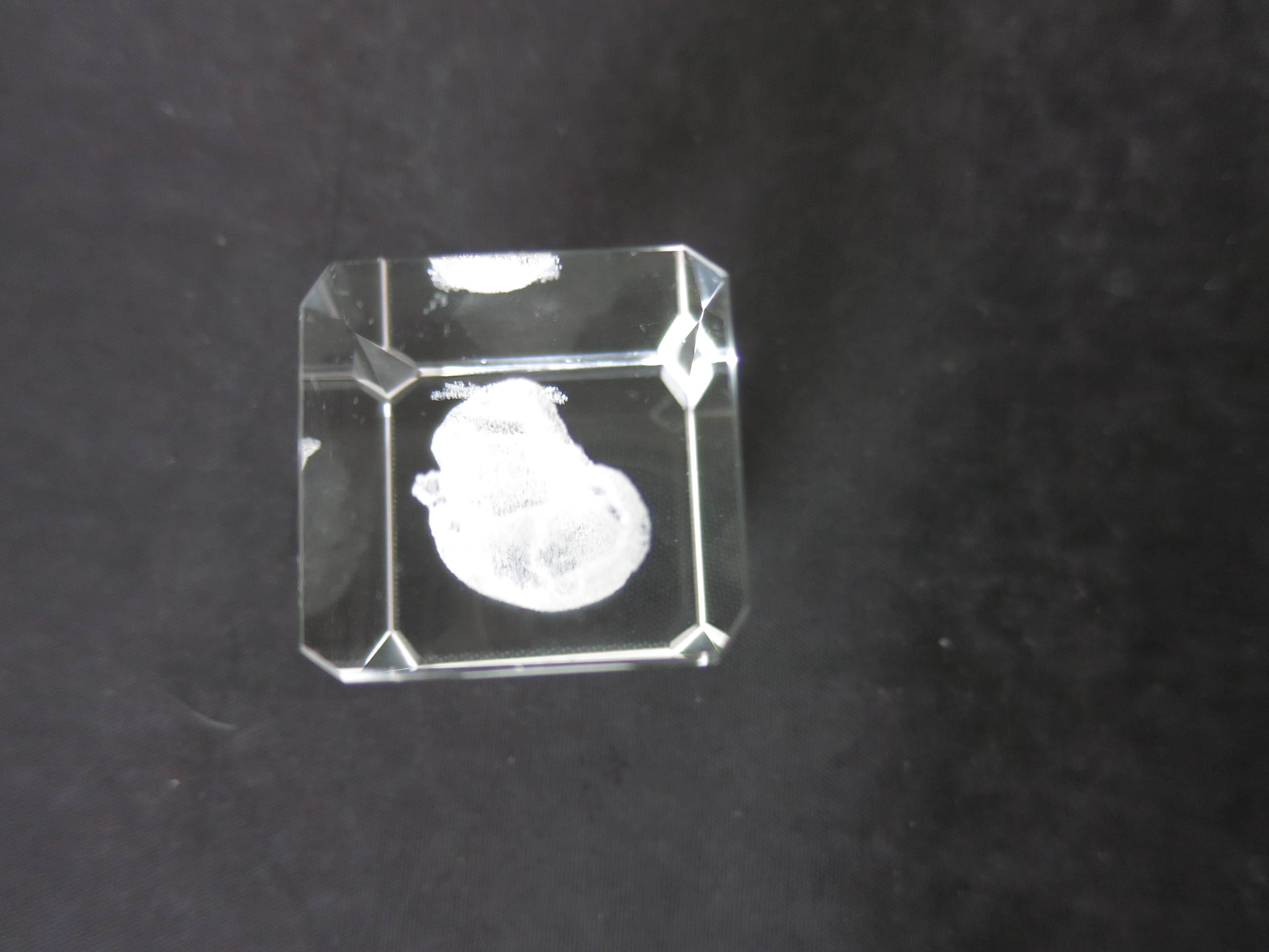3 D Laser Engraved Crystal Cat Paperweight