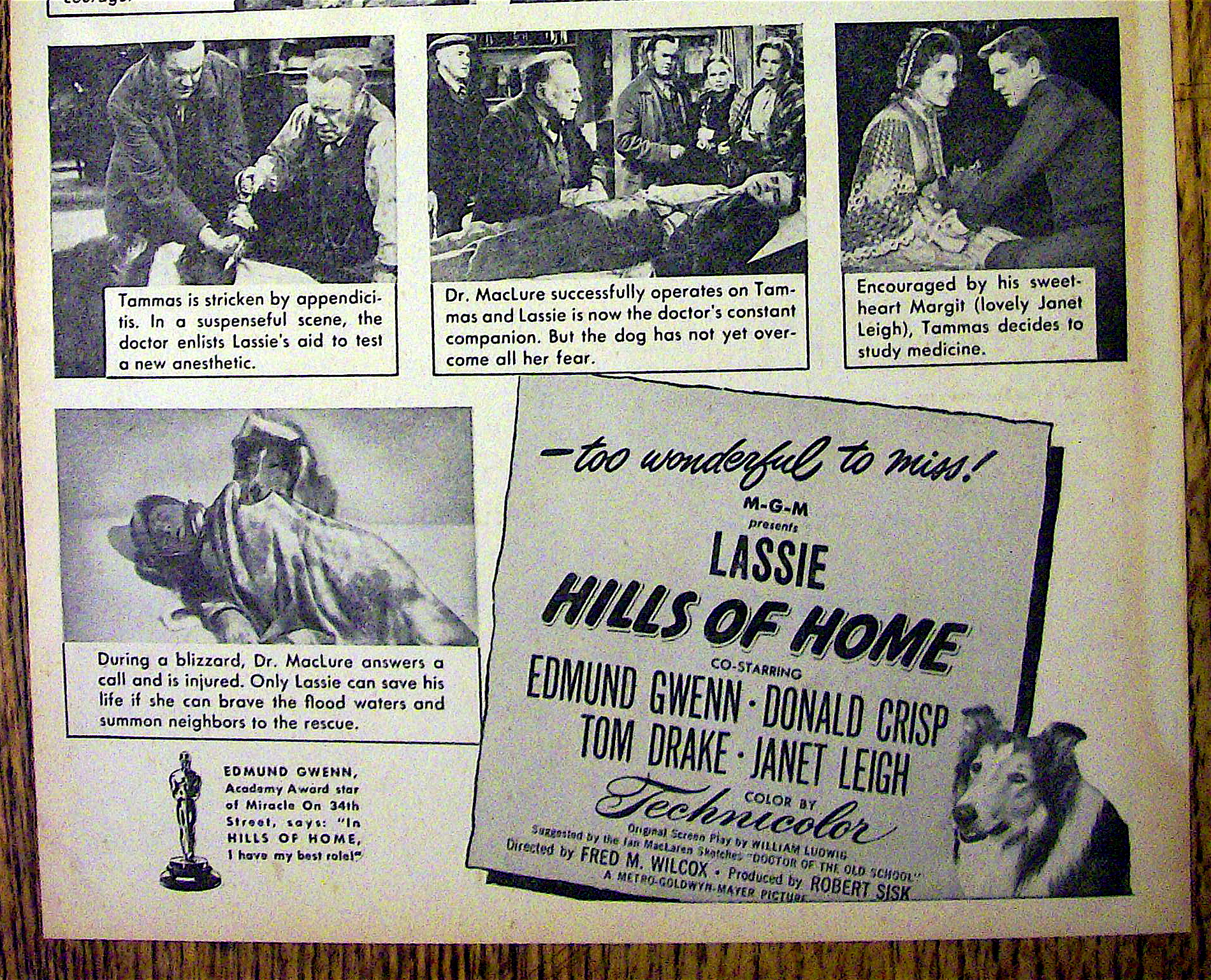 1948 Hills of Home w/Lassie, Donald Crisp & Janet Leigh