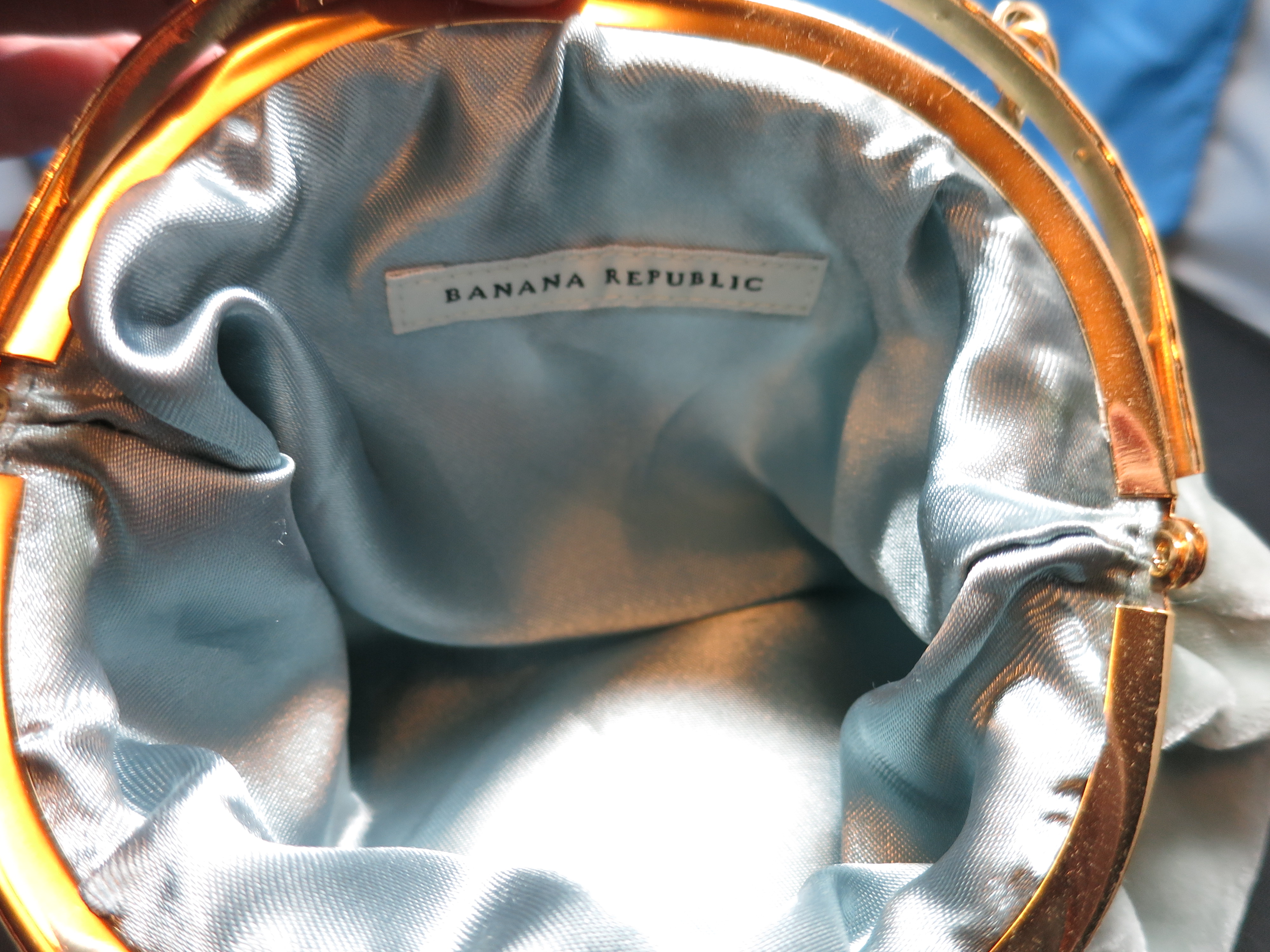 Banana Republic Purse