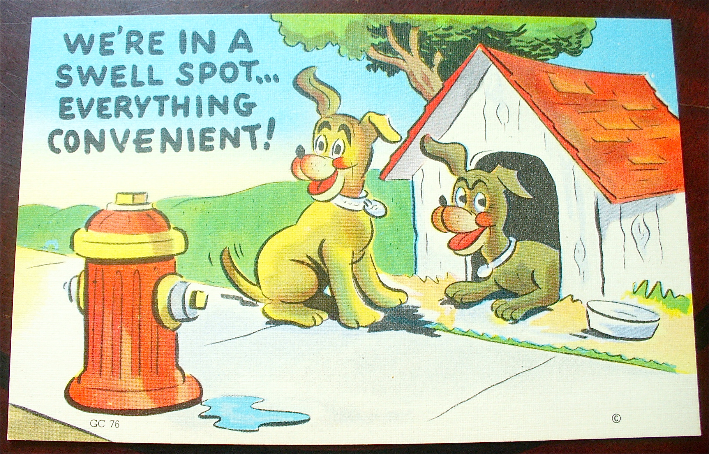 Two Dogs By A Dog House Looking At Hydrant Postcard
