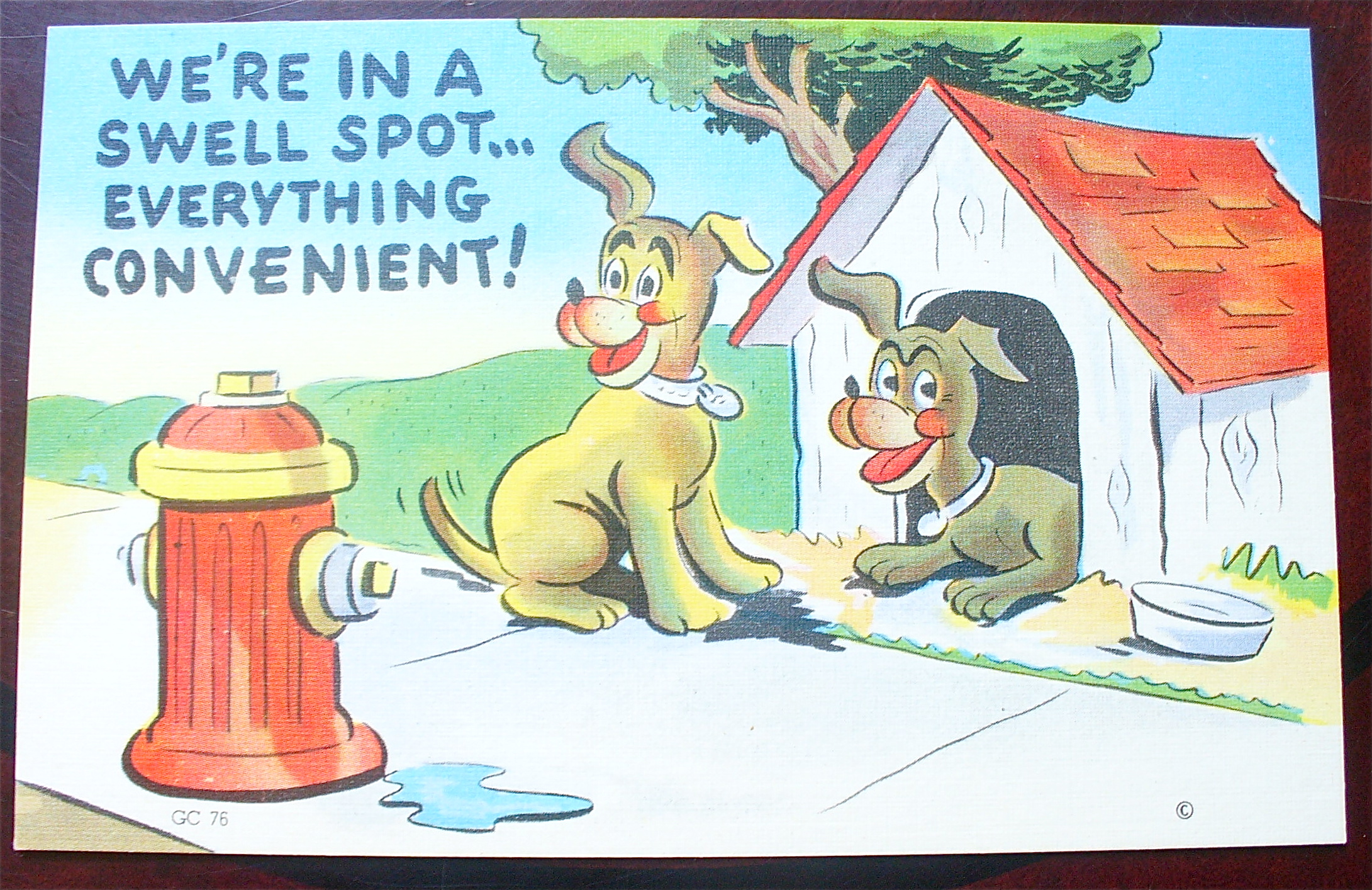 Two Dogs By A Dog House Looking At Hydrant Postcard