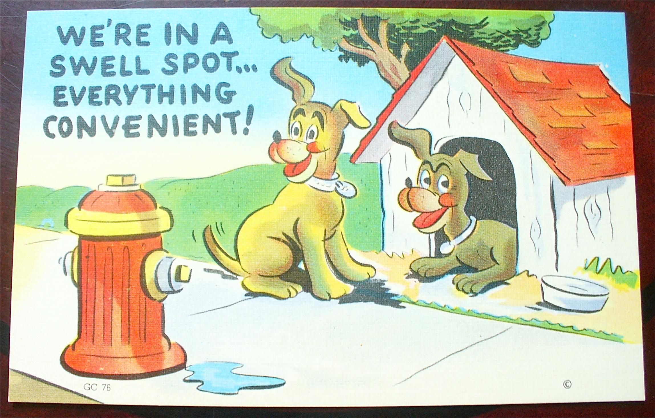 Two Dogs By A Dog House Looking At Hydrant Postcard