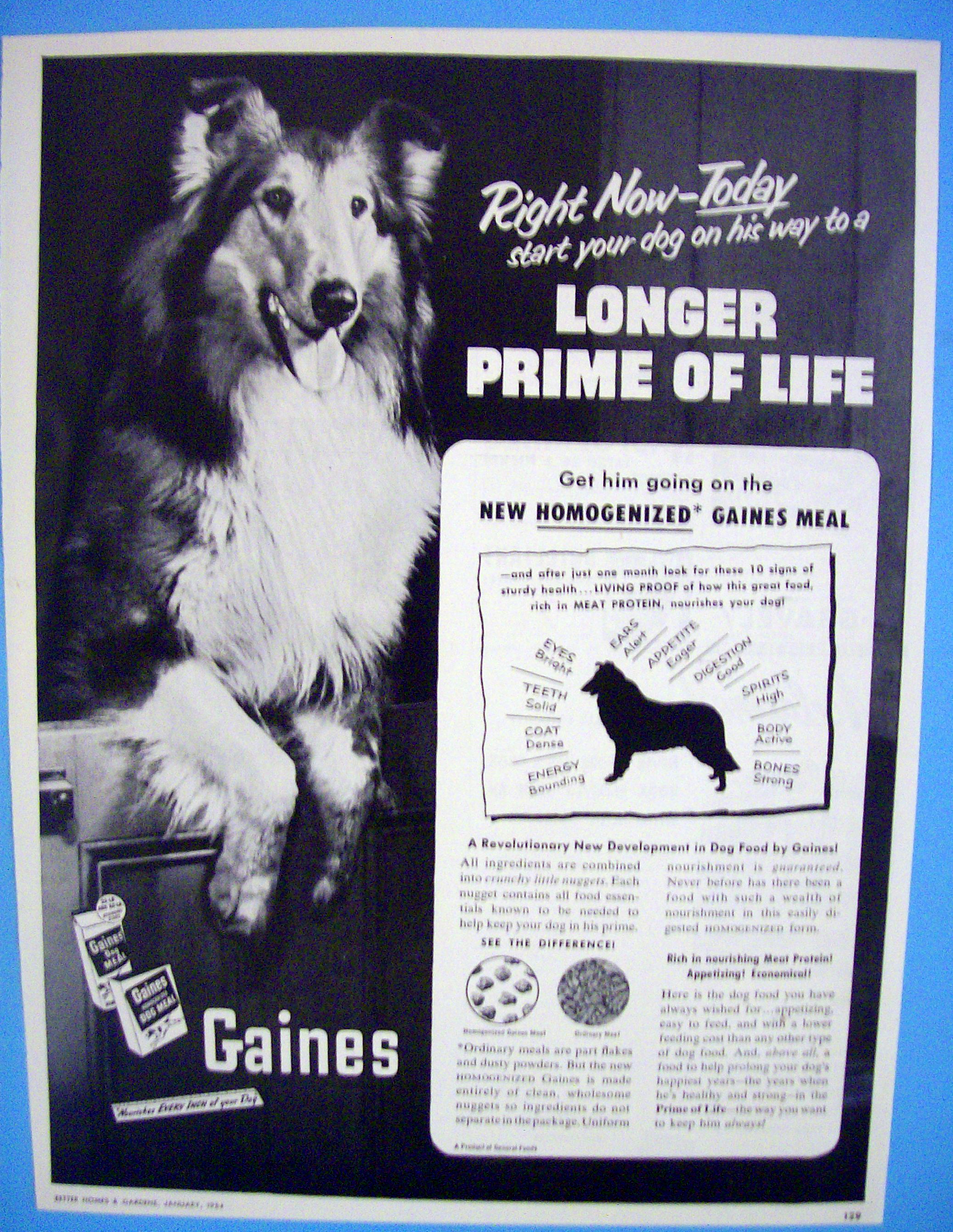 1954 Gaines Dog Food  with Dog Like Lassie