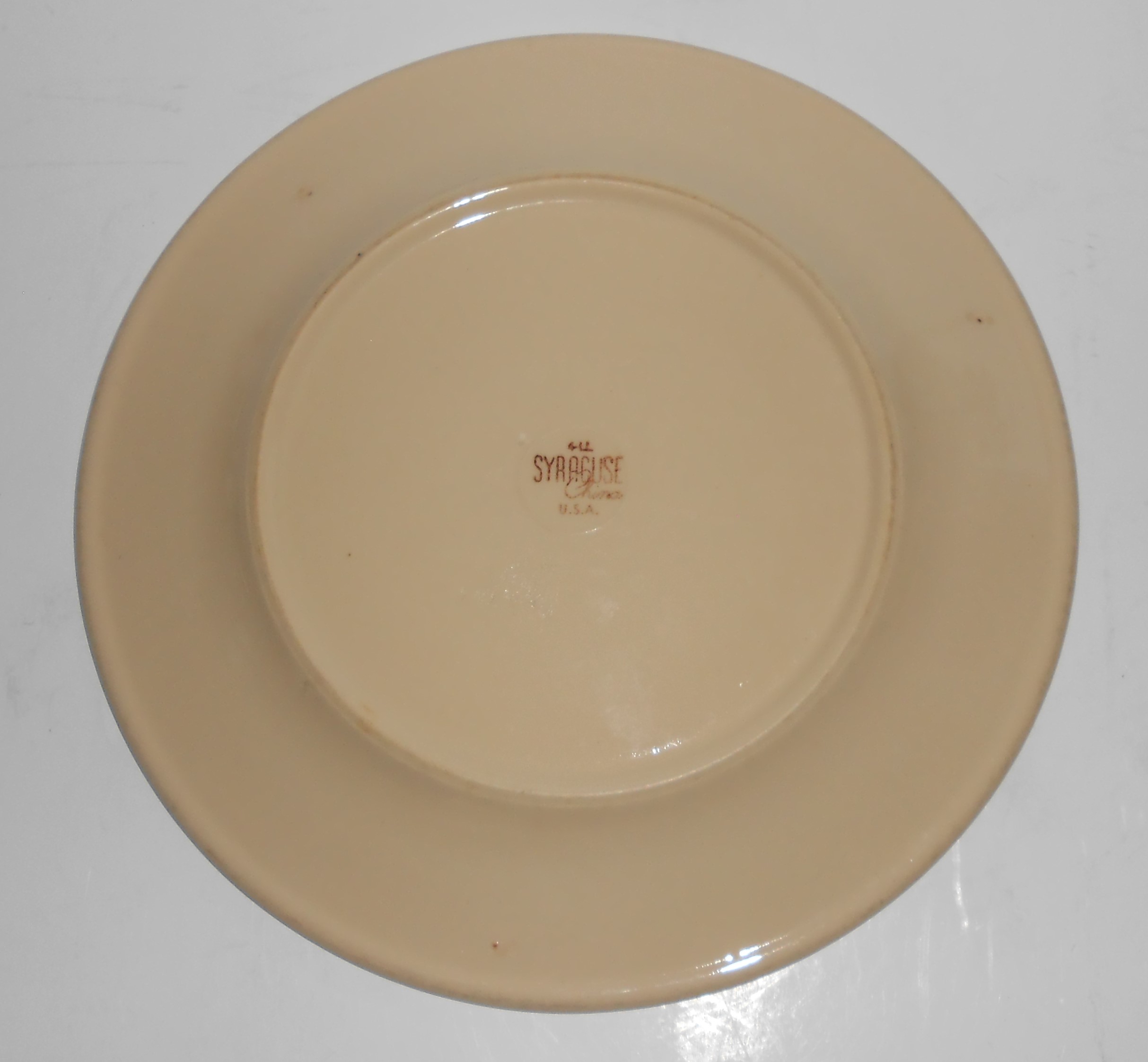 Syracuse Restaurant Ware Southwest Native American Indi