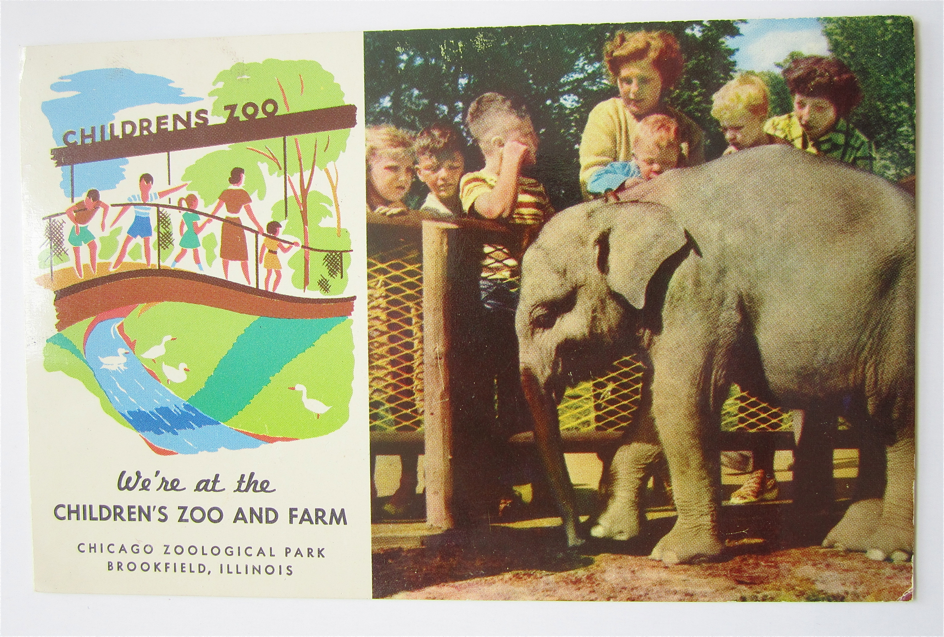 Children 's Zoo And Farm, Brookfield, ILL Postcard