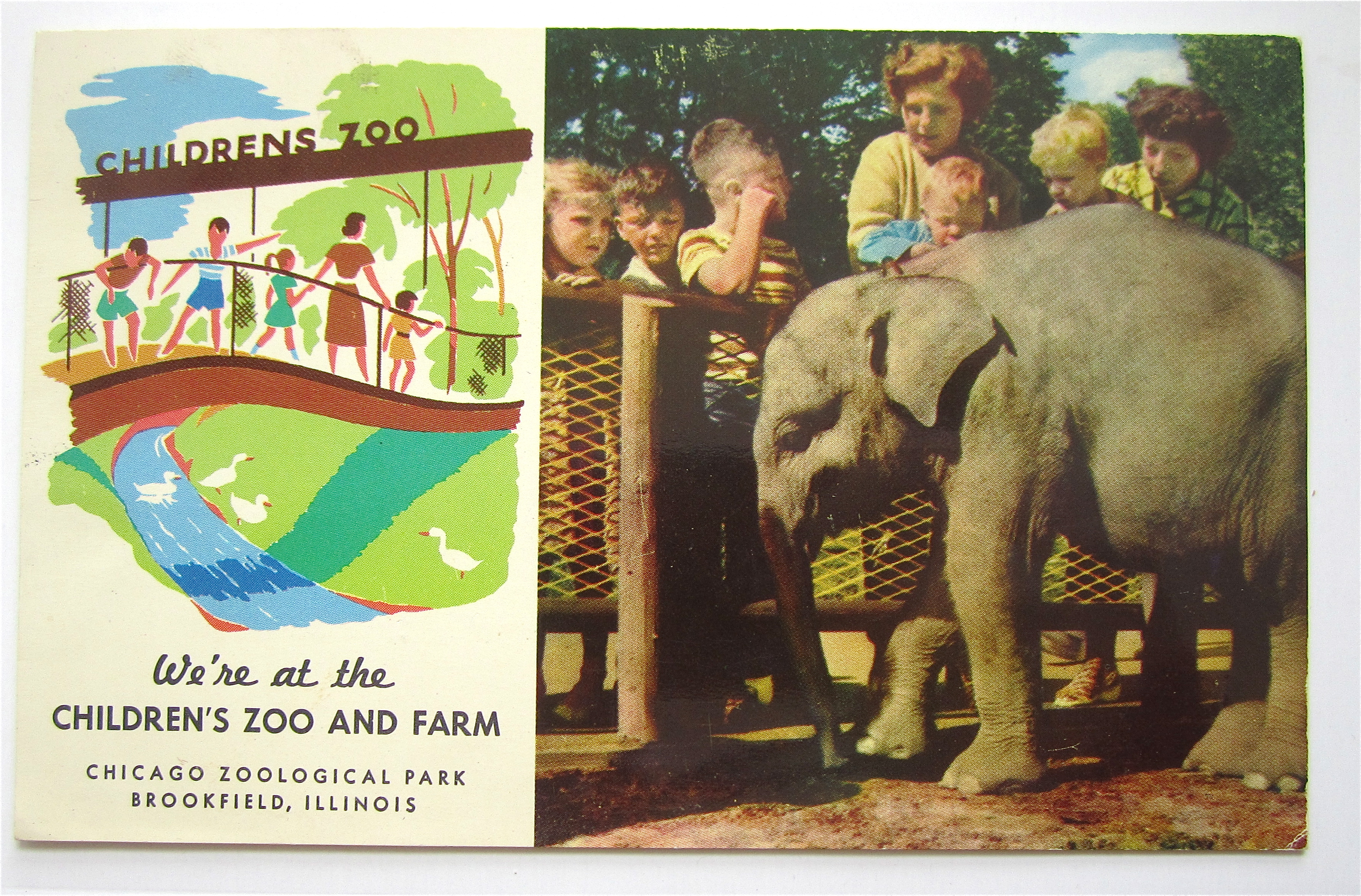 Children 's Zoo And Farm, Brookfield, ILL Postcard