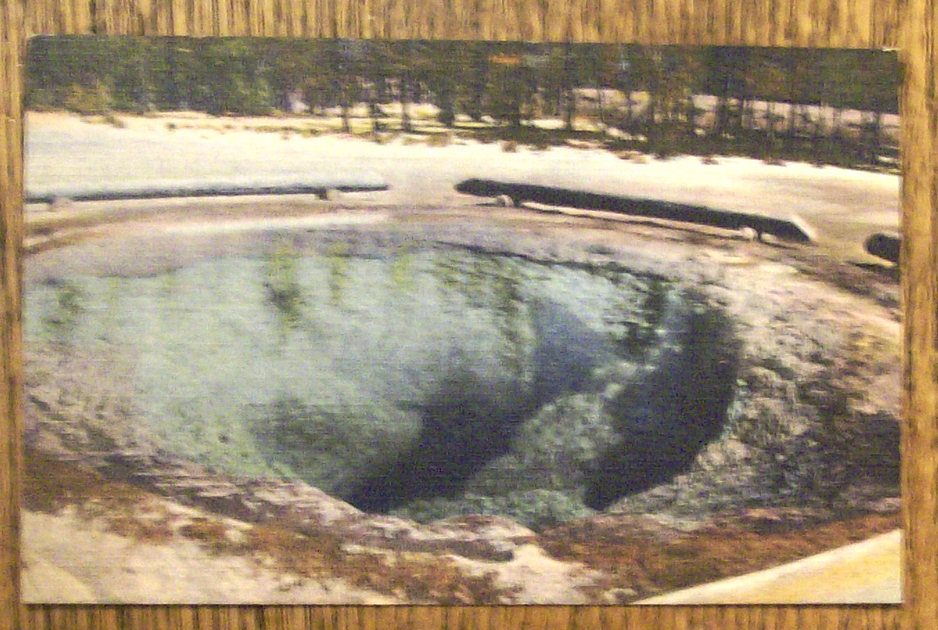 Morning Glory Pool Postcard (Yellowstone National Park)