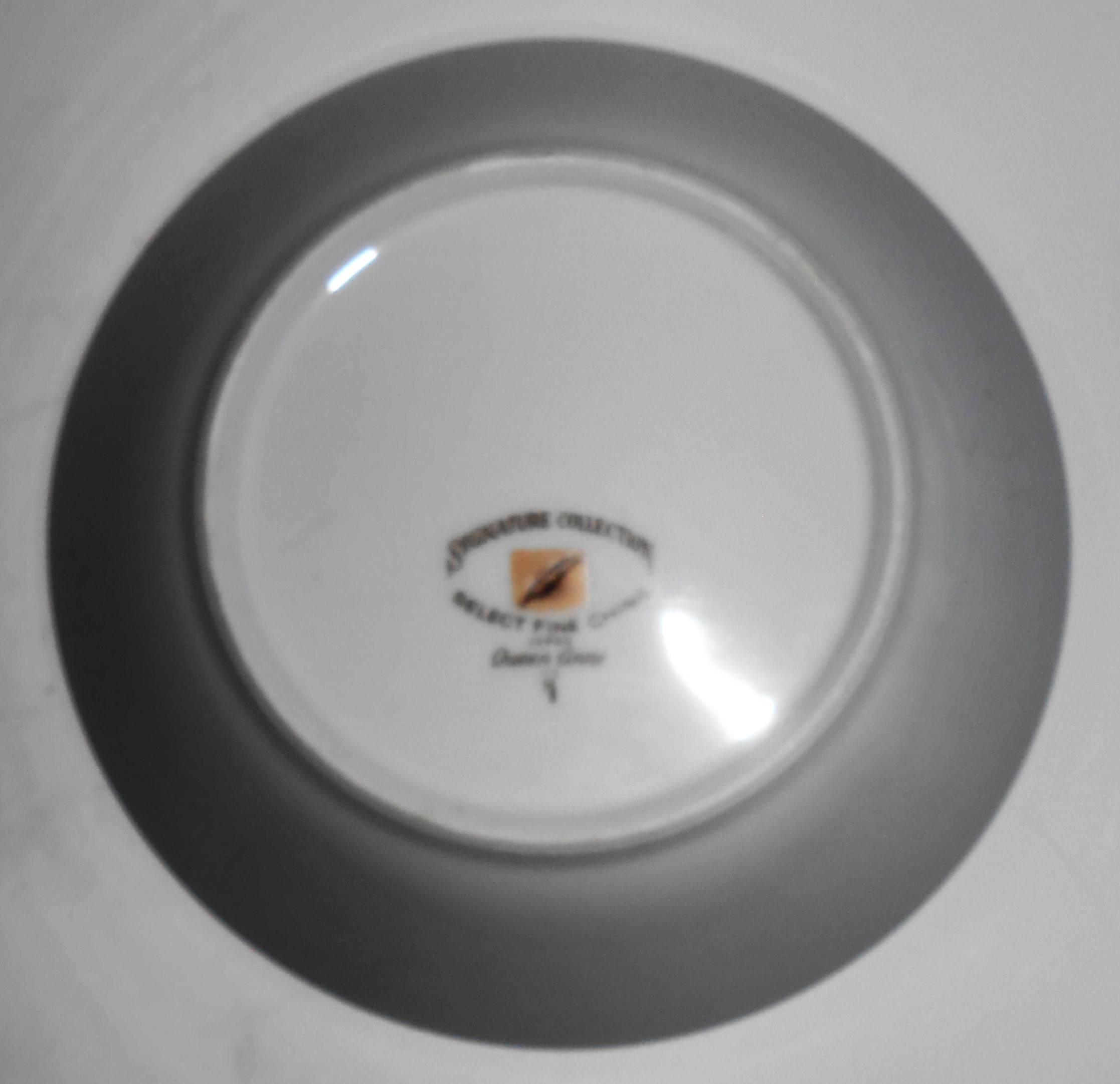 Signature Collection Fine China Porcelain Queen Anne Fr