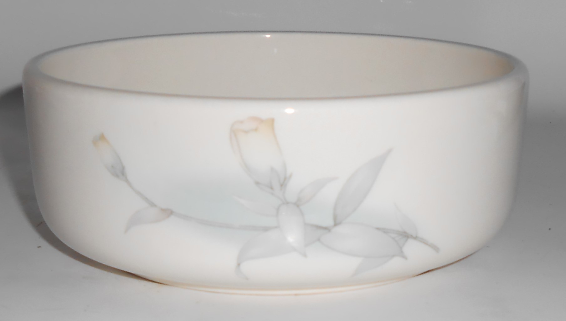 Noritake China Keltcraft Misty Isle Together Cereal