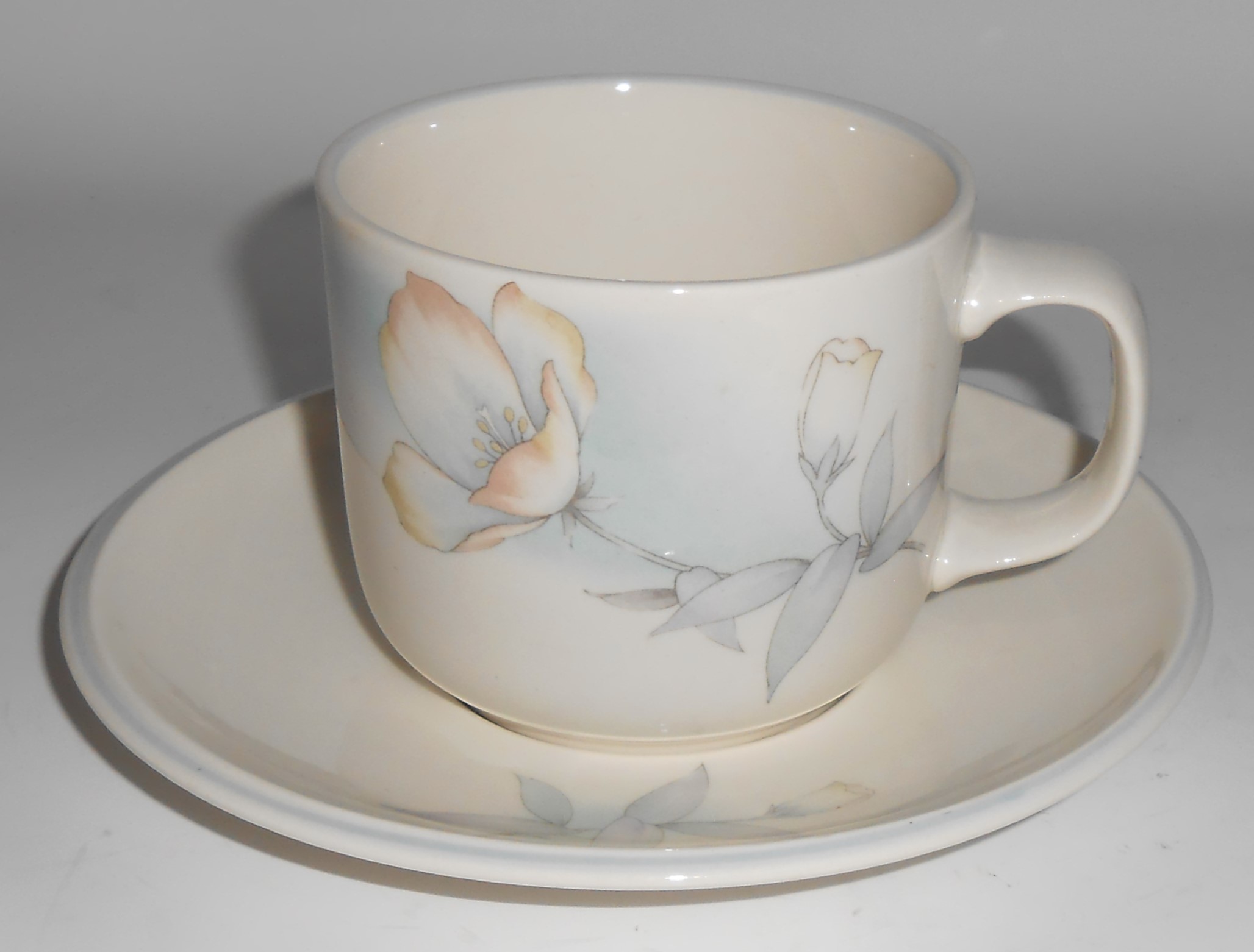 Noritake China Keltcraft Misty Isle Together Cup/Saucer