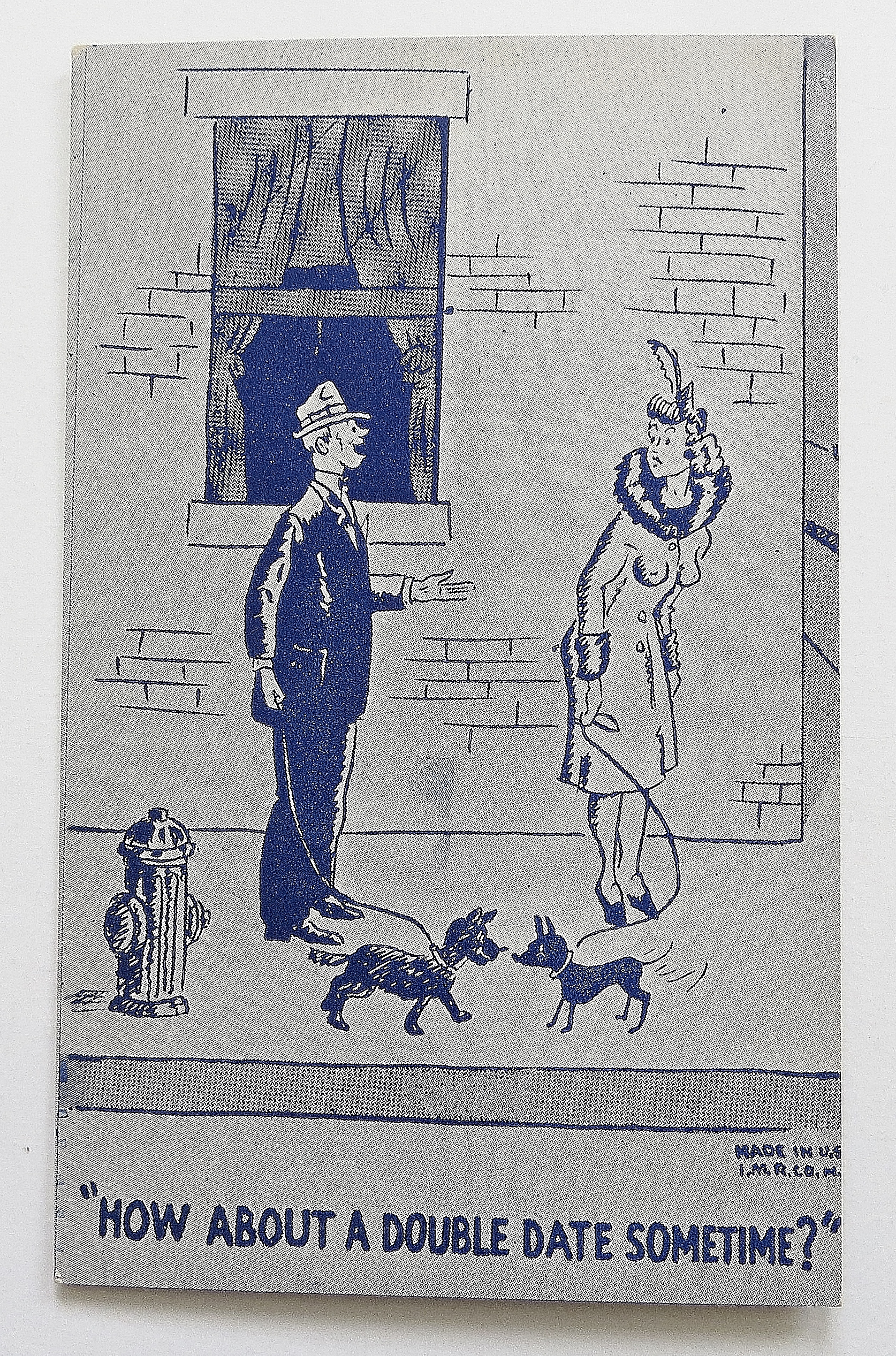 Man & Woman Talking While Walking Their Dogs
