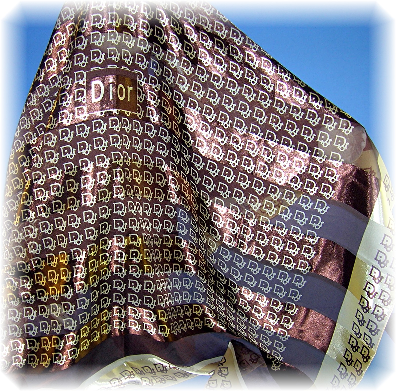 DIOR Logo DESIGNER Large SCARF