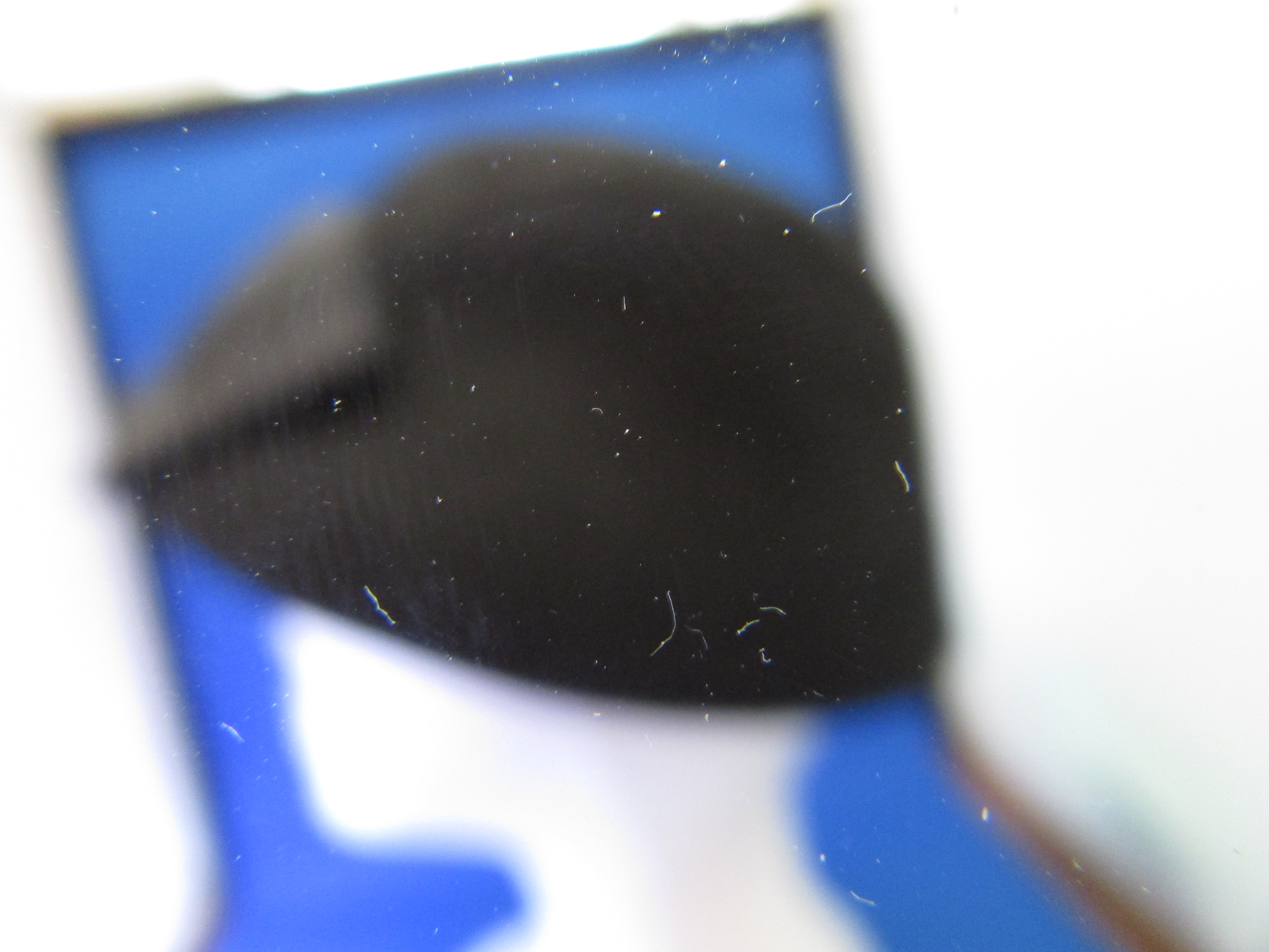 Black Wool Betmar Hat