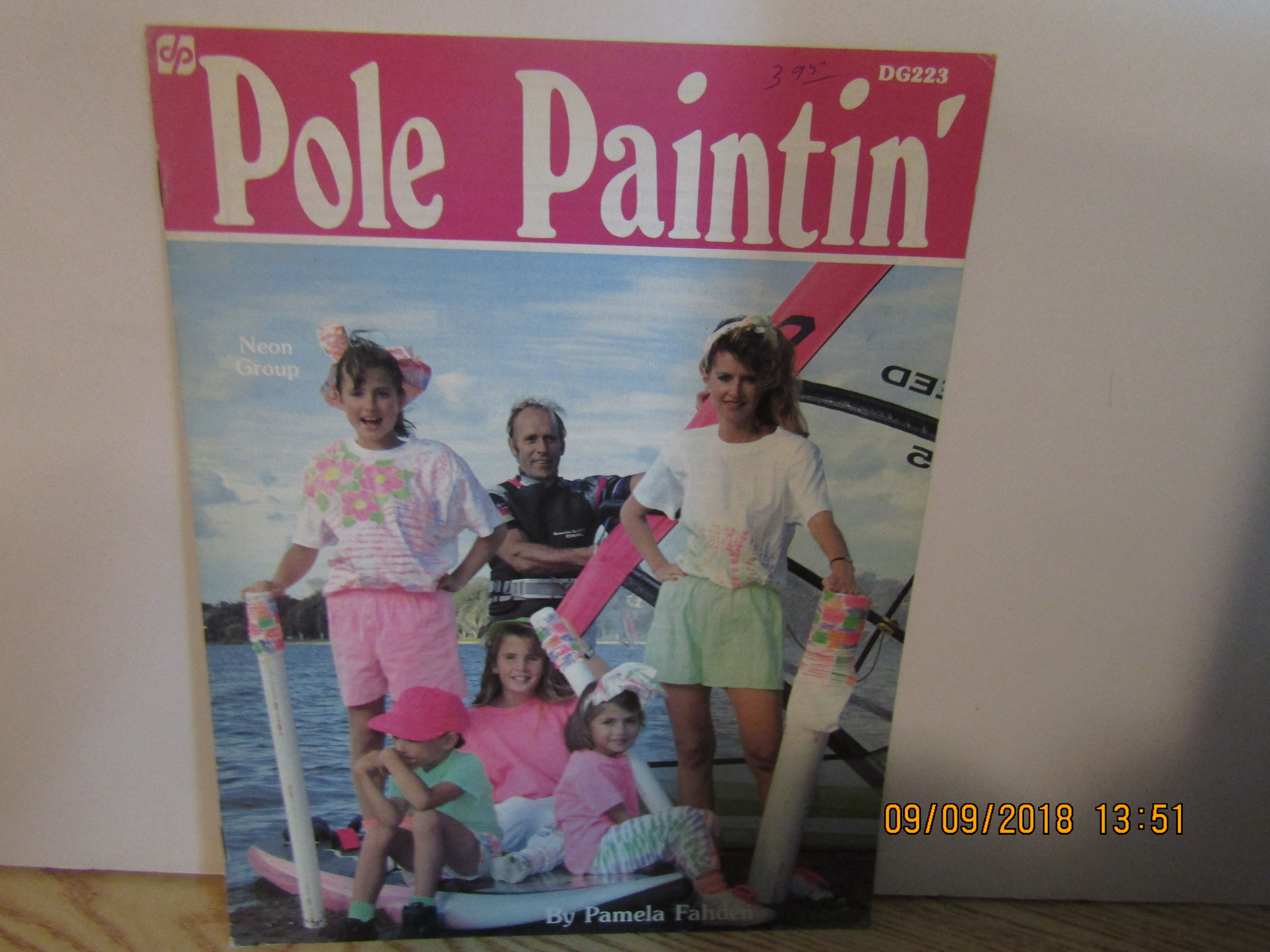 Demis Designs Craft Book Pole Paintin' #223