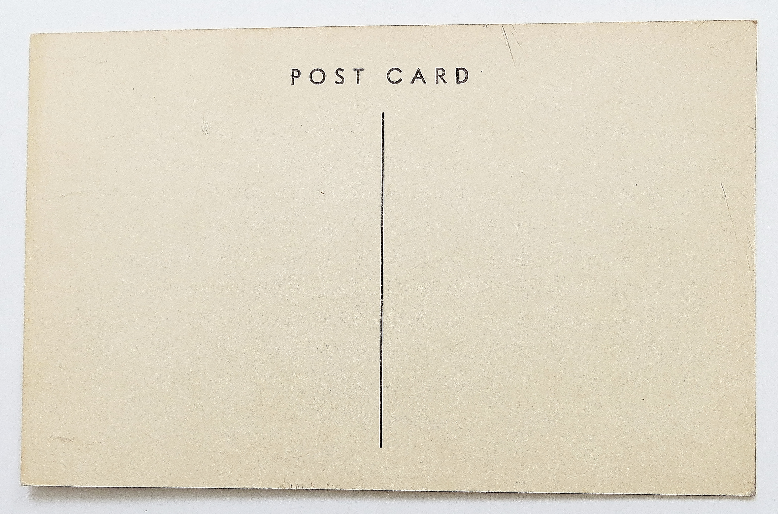 Early Bird Catches The Worm Postcard