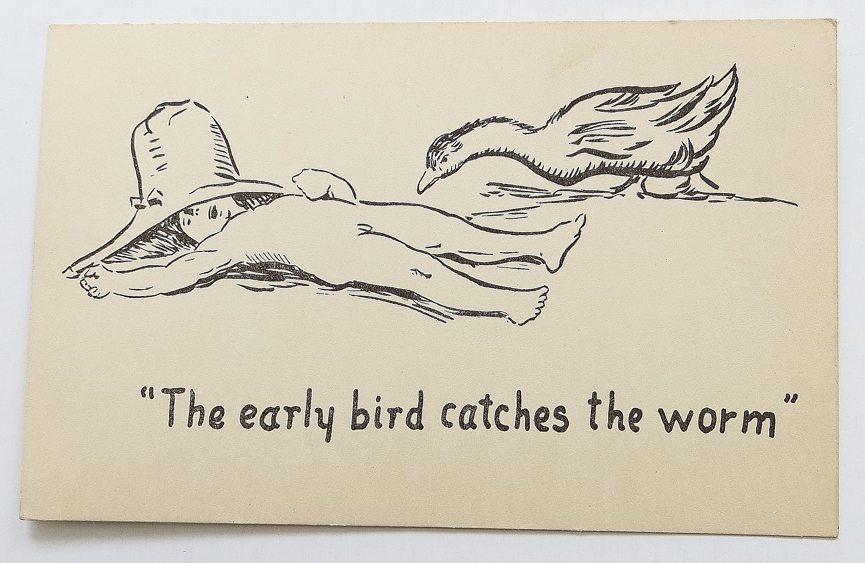 Early Bird Catches The Worm Postcard