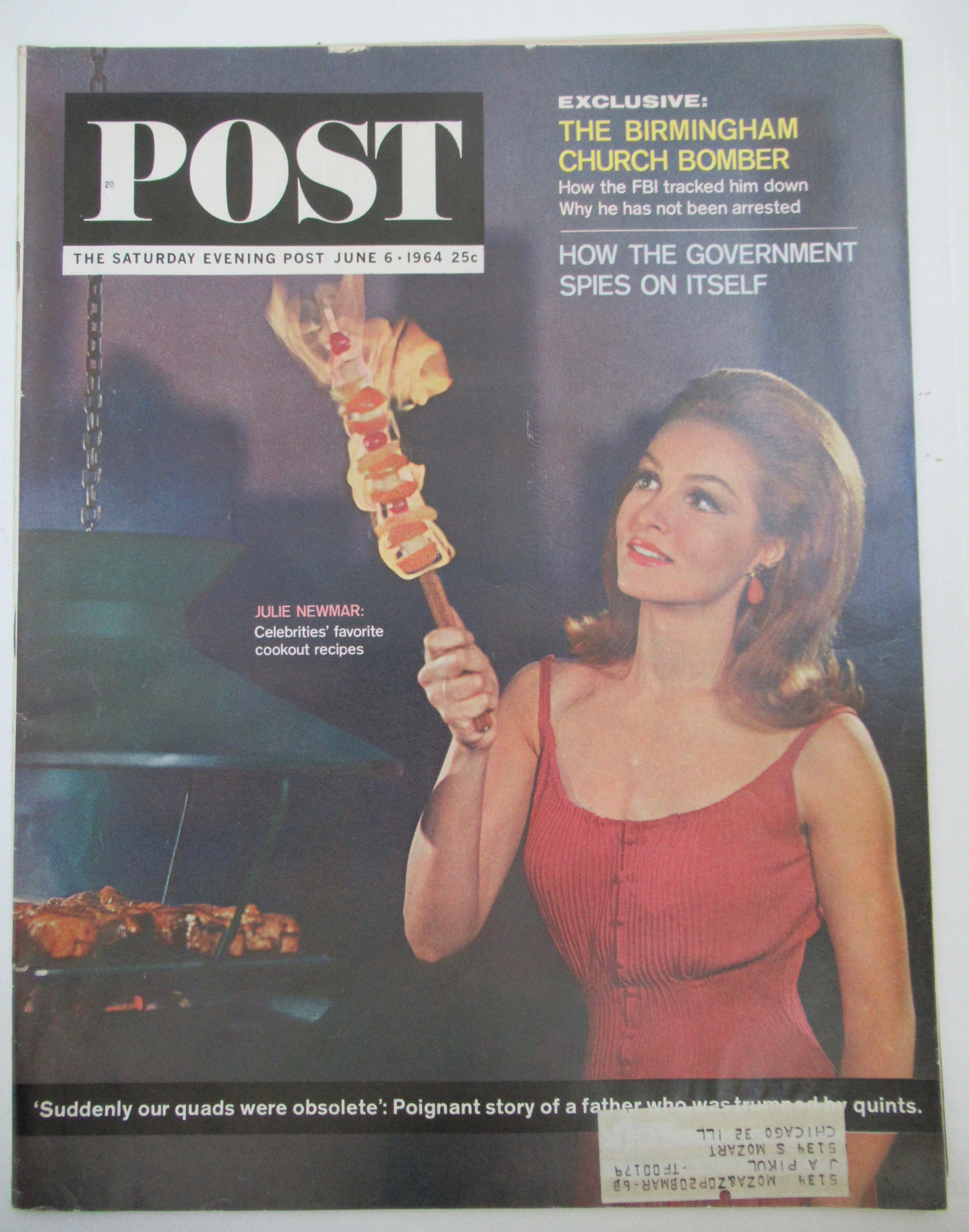 Saturday Evening Post Magazine June 6, 1964 J Newmar