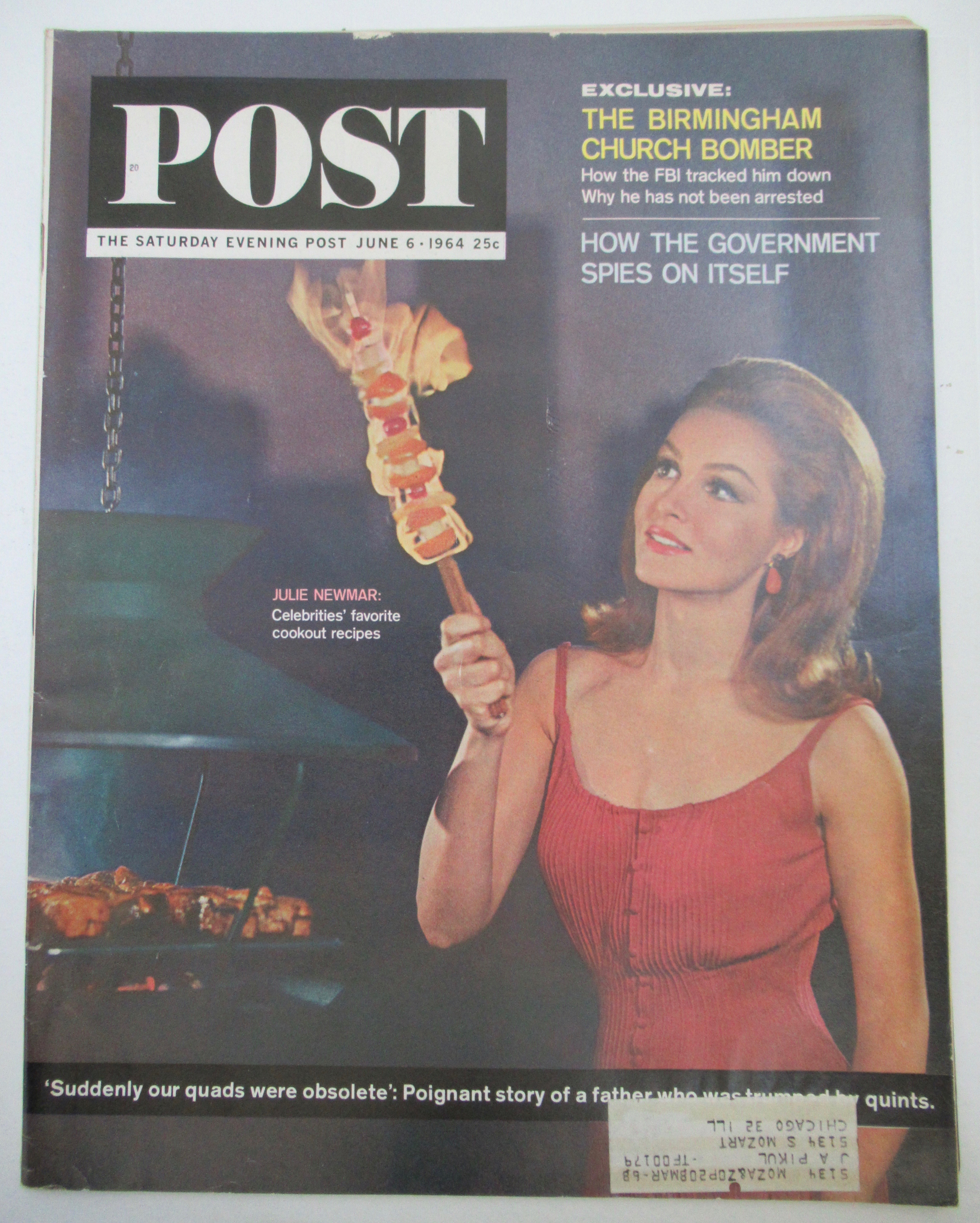Saturday Evening Post Magazine June 6, 1964 J Newmar