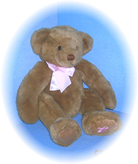 Soft & Cuddly 16 Inch Dakin Teddy Bear