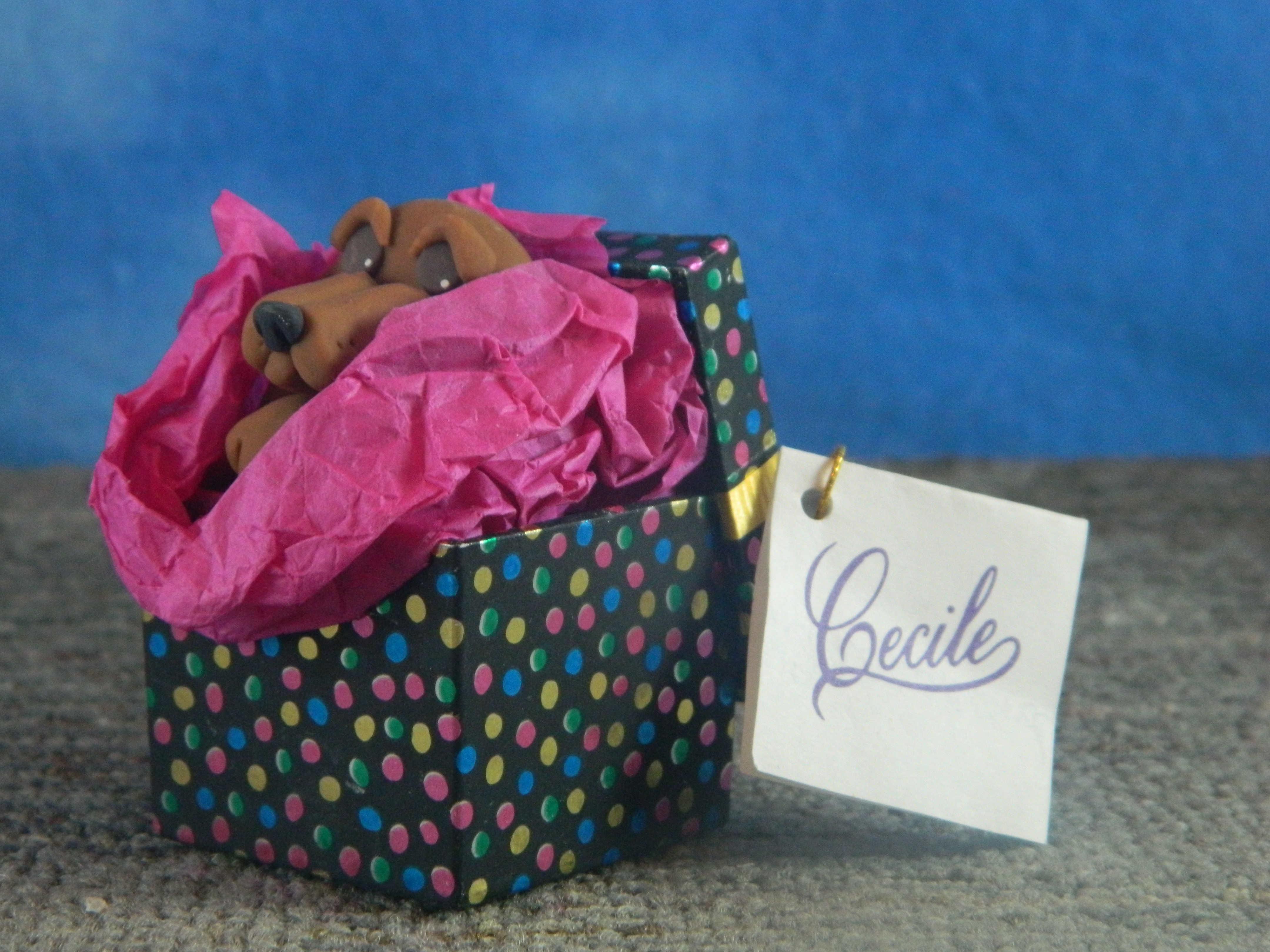 Cecile Dashshund in a Box
