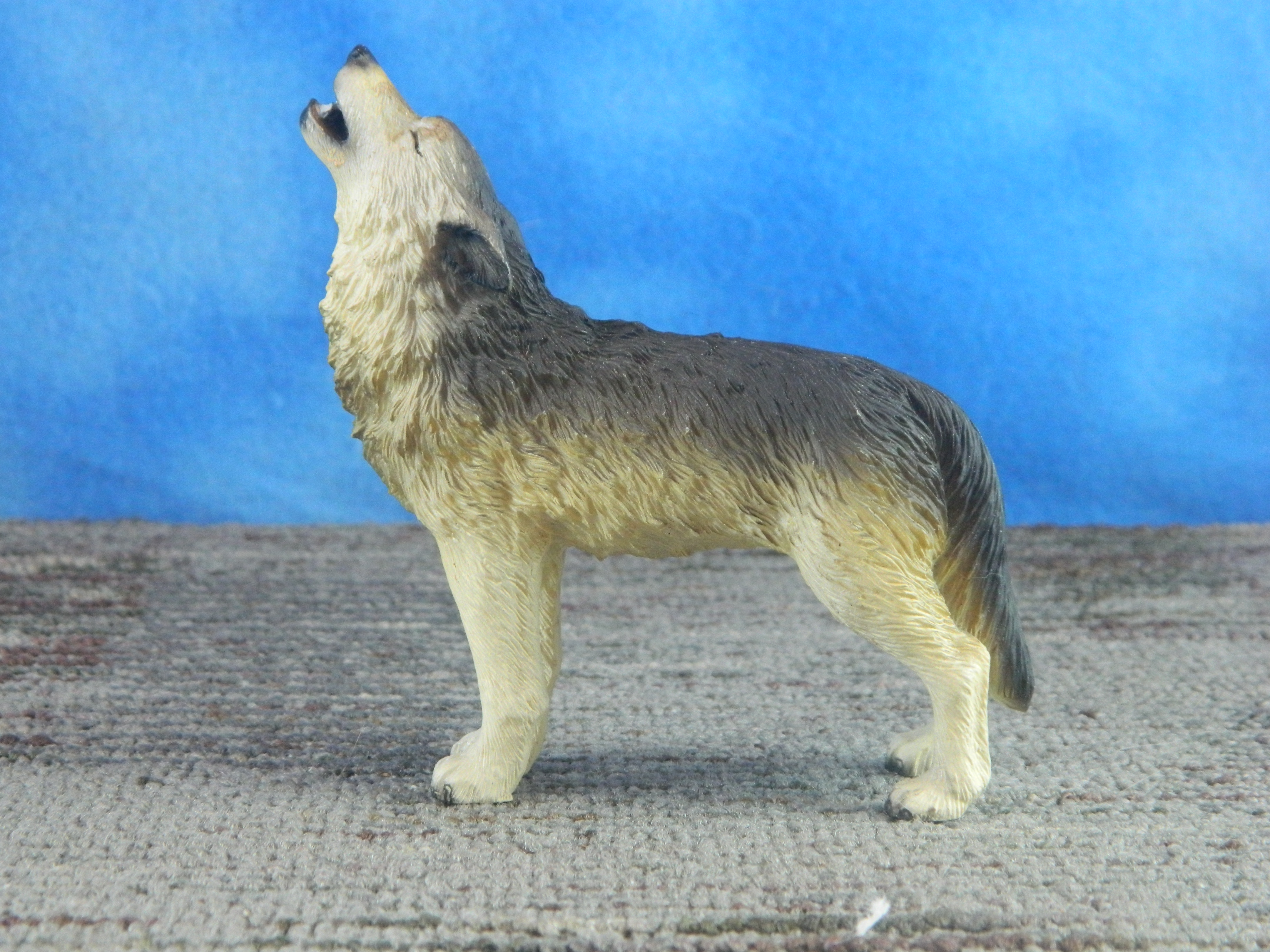 Conversation Concepts Wolf Standing