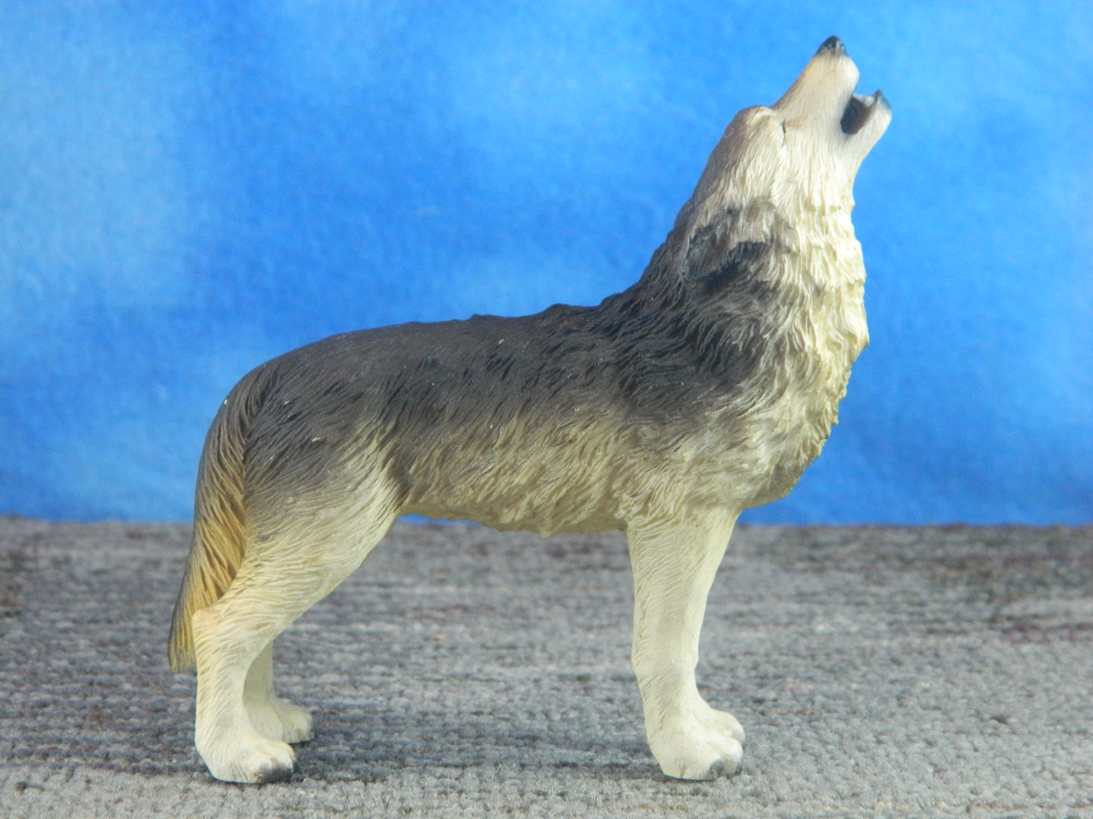 Conversation Concepts Wolf Standing