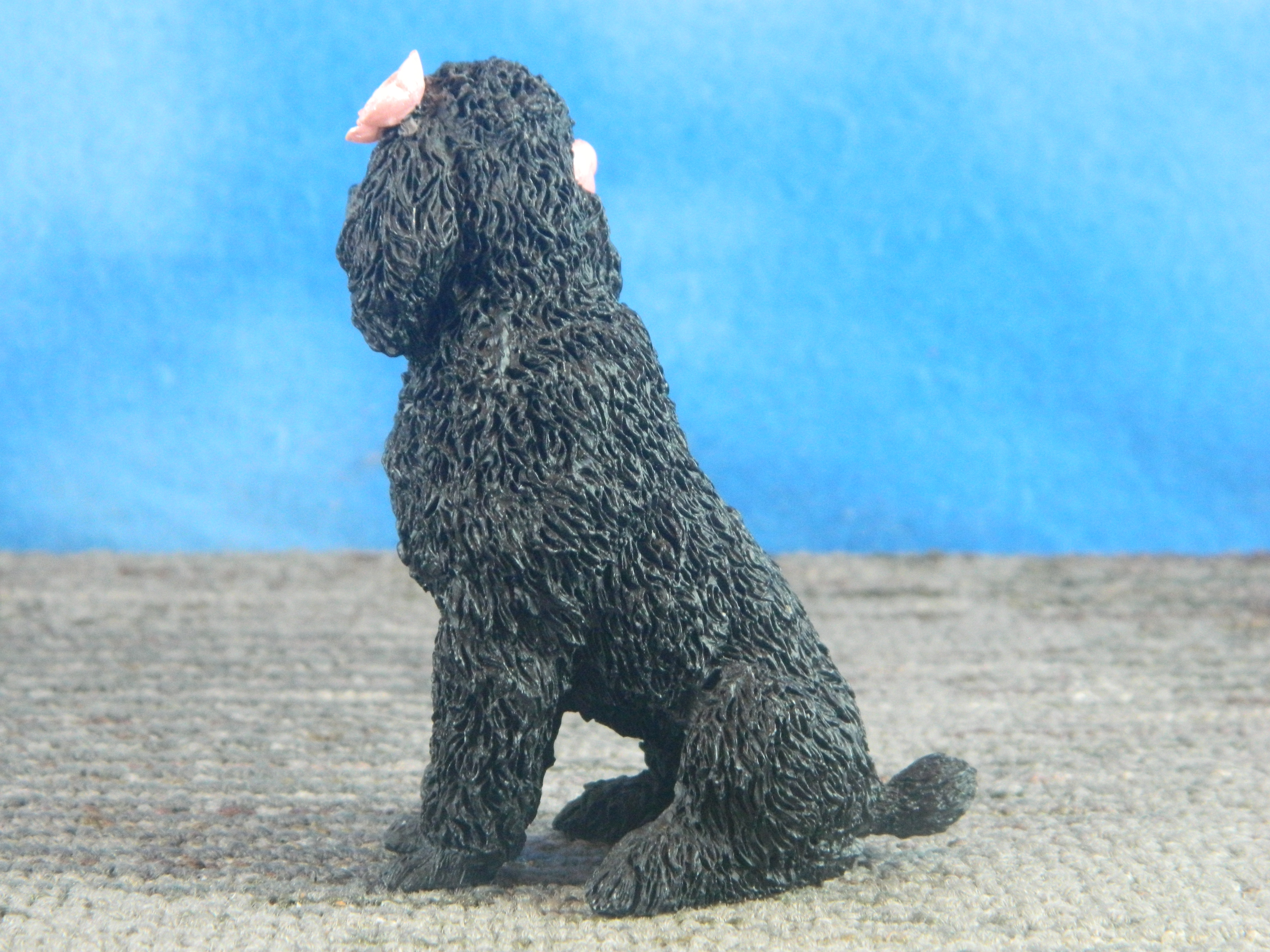 Sitting Black Poodle with Flowers