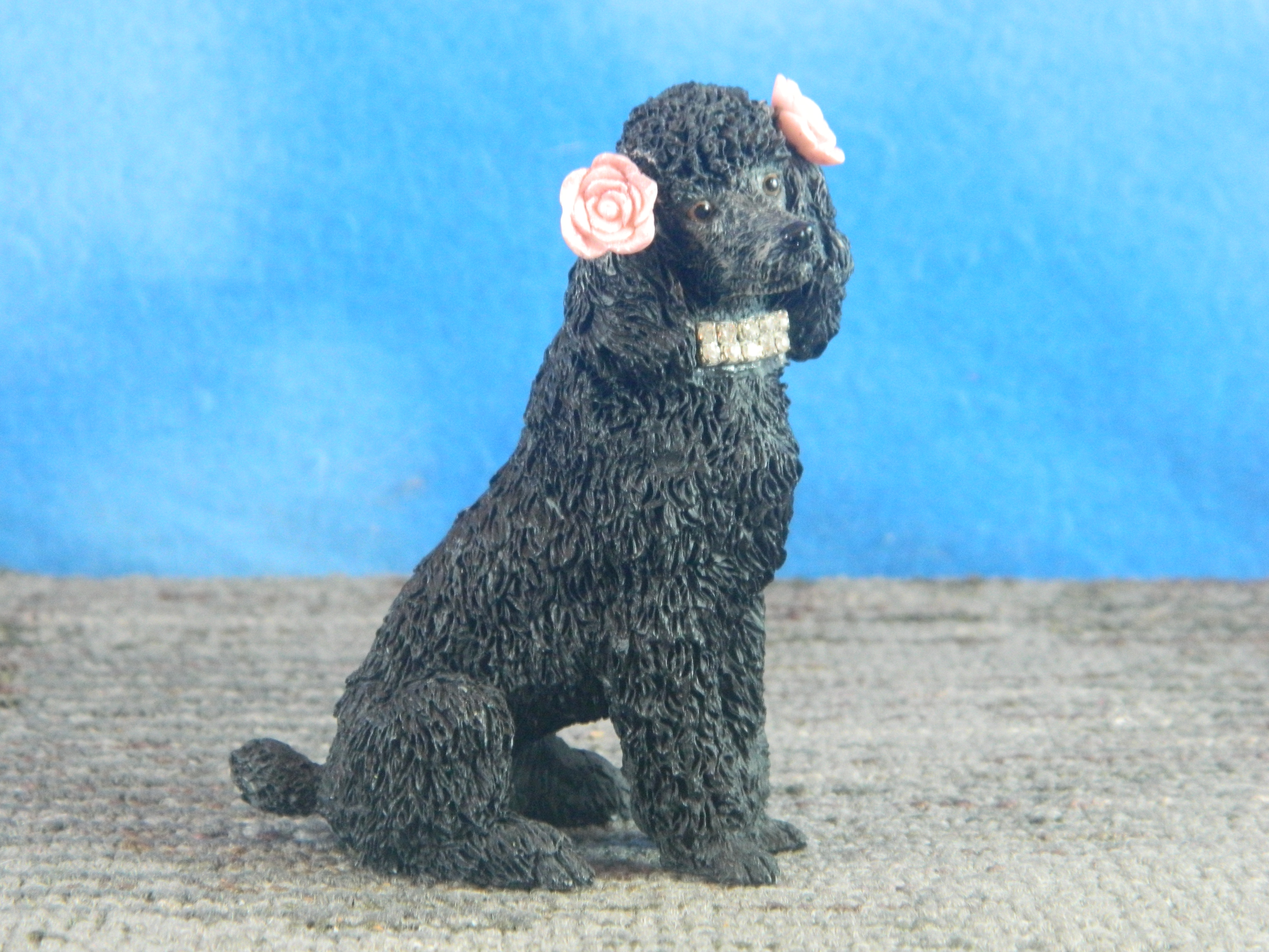 Sitting Black Poodle with Flowers