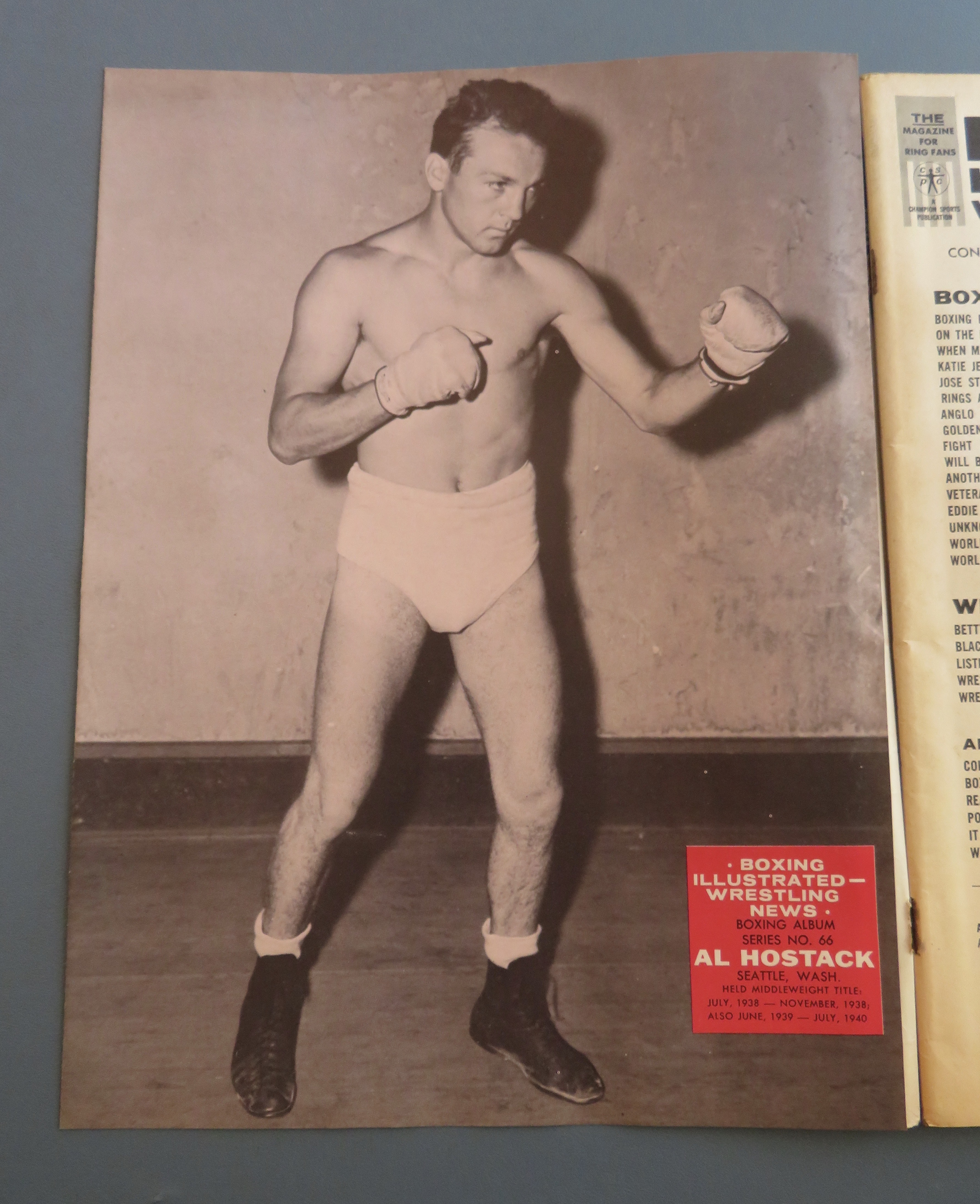 Boxing llustrated Wrestling News Magazine March 1965