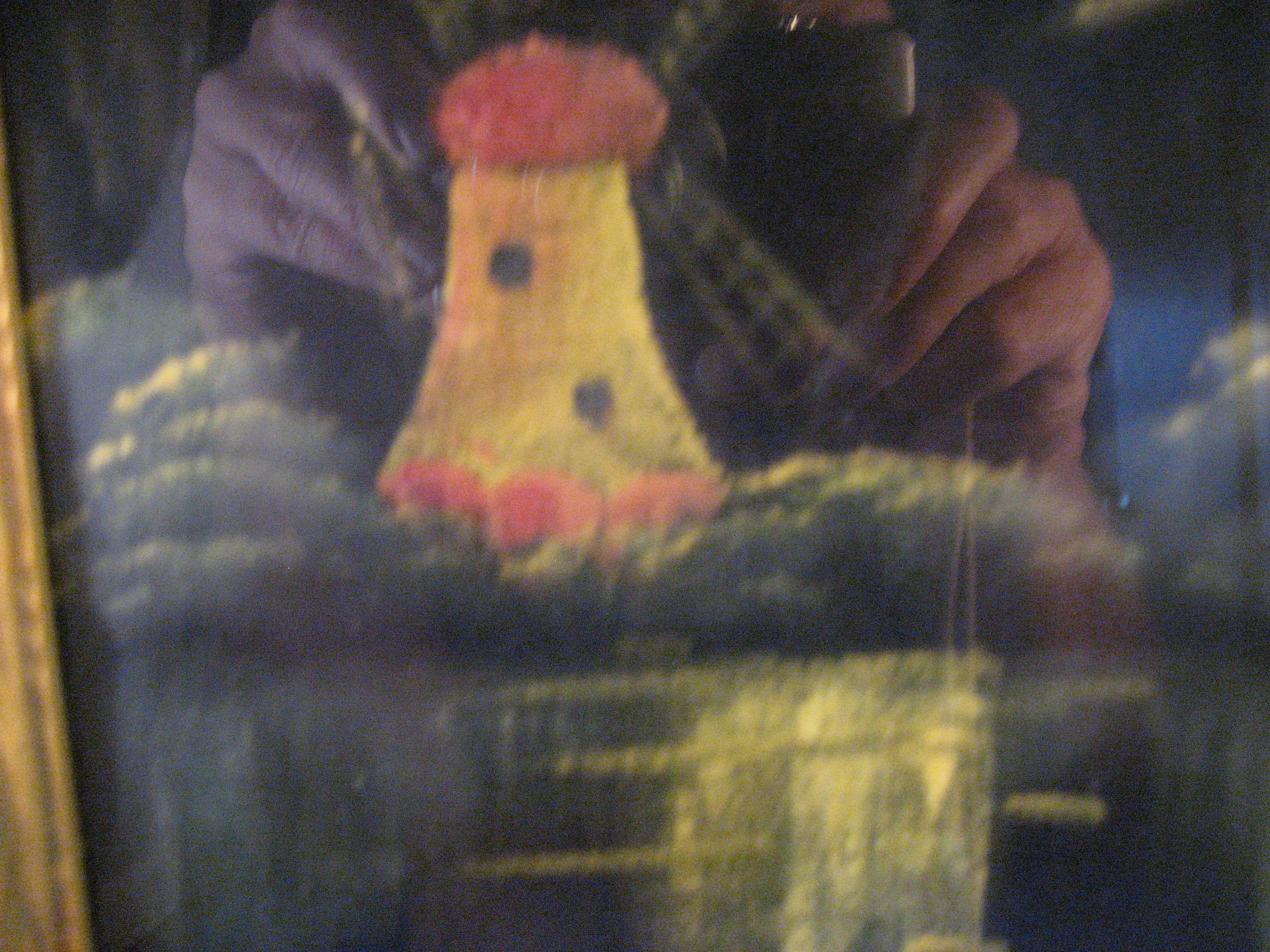 Folk Art Real Feather Picture