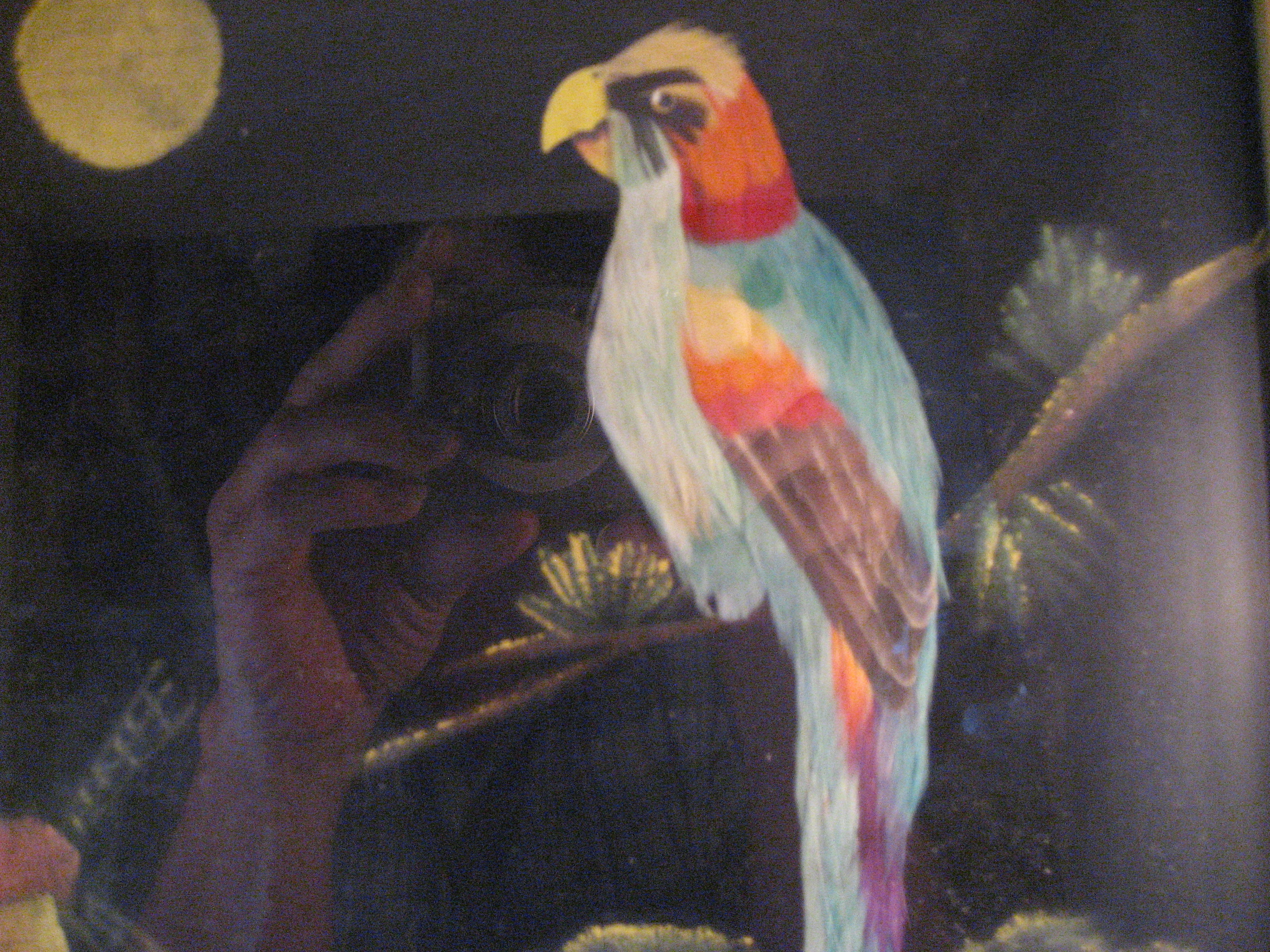 Folk Art Real Feather Picture