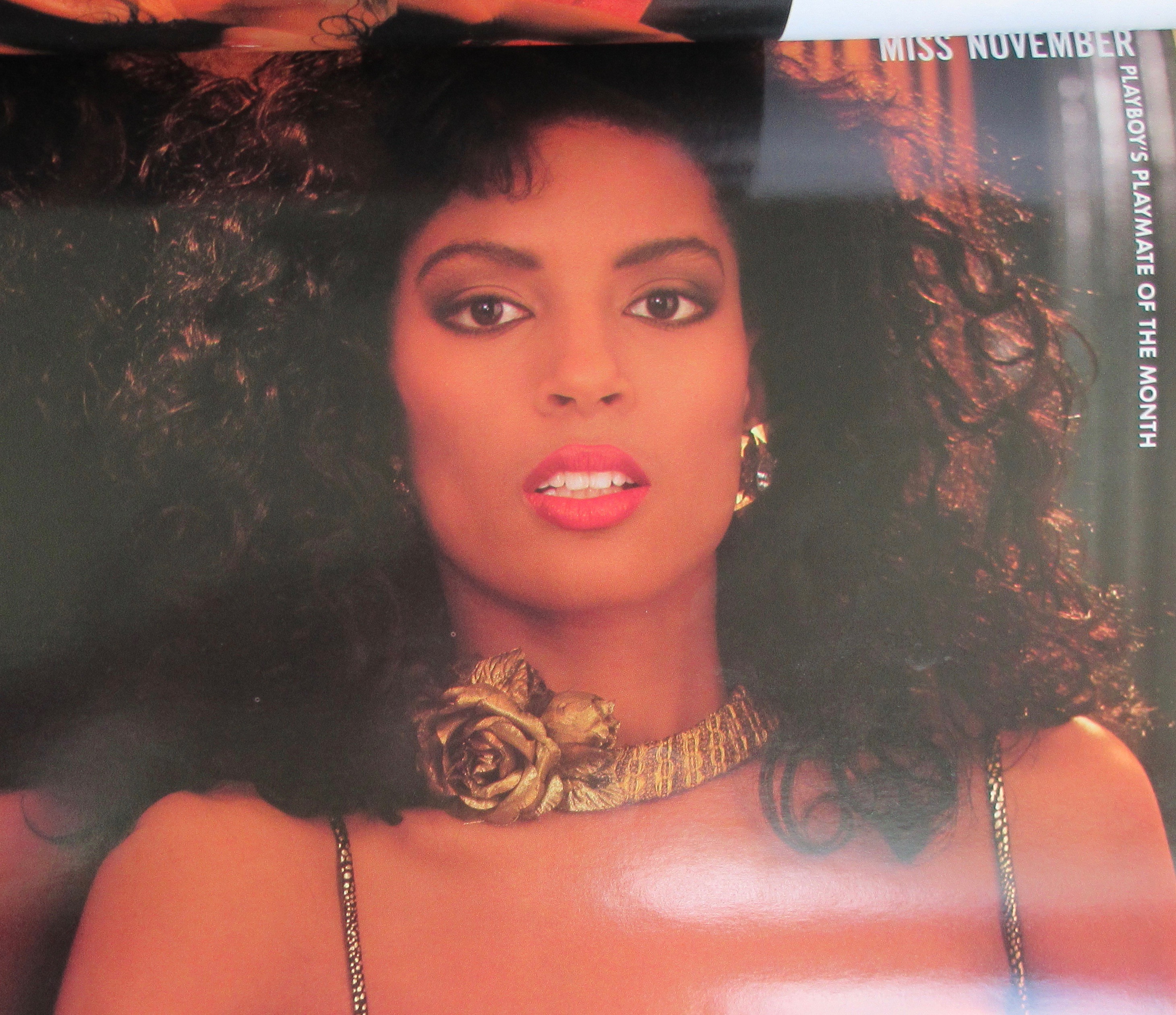 Playboy Magazine-November 1989-Renee Tenison