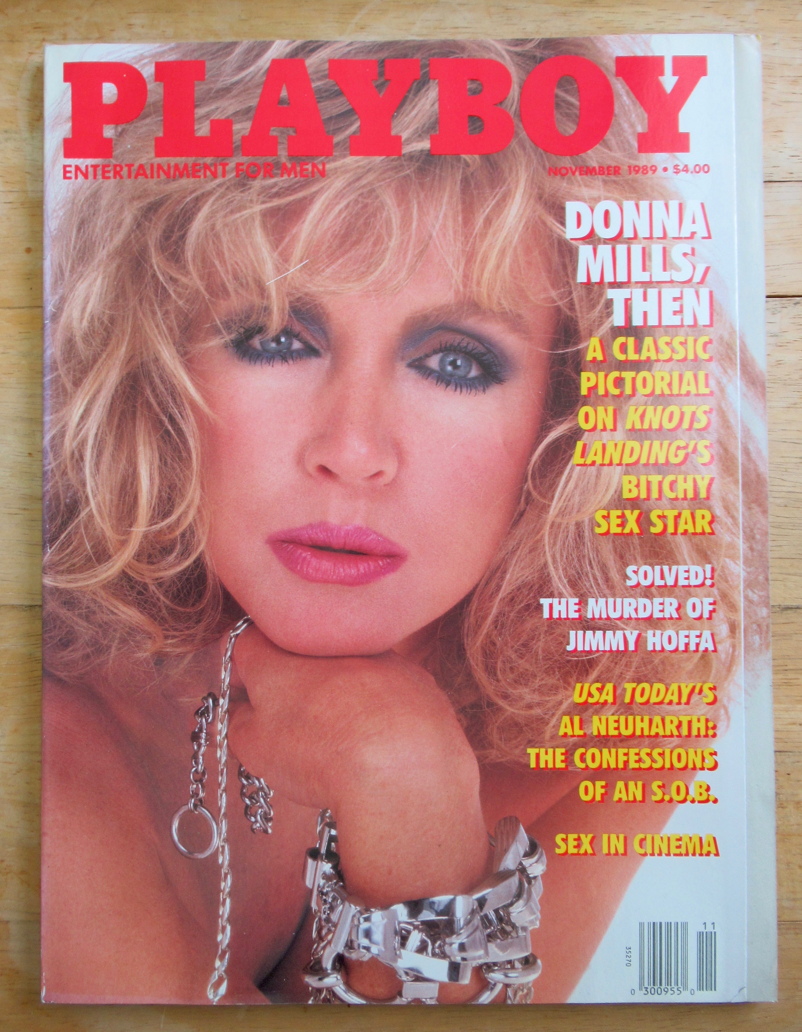 Playboy Magazine-November 1989-Renee Tenison