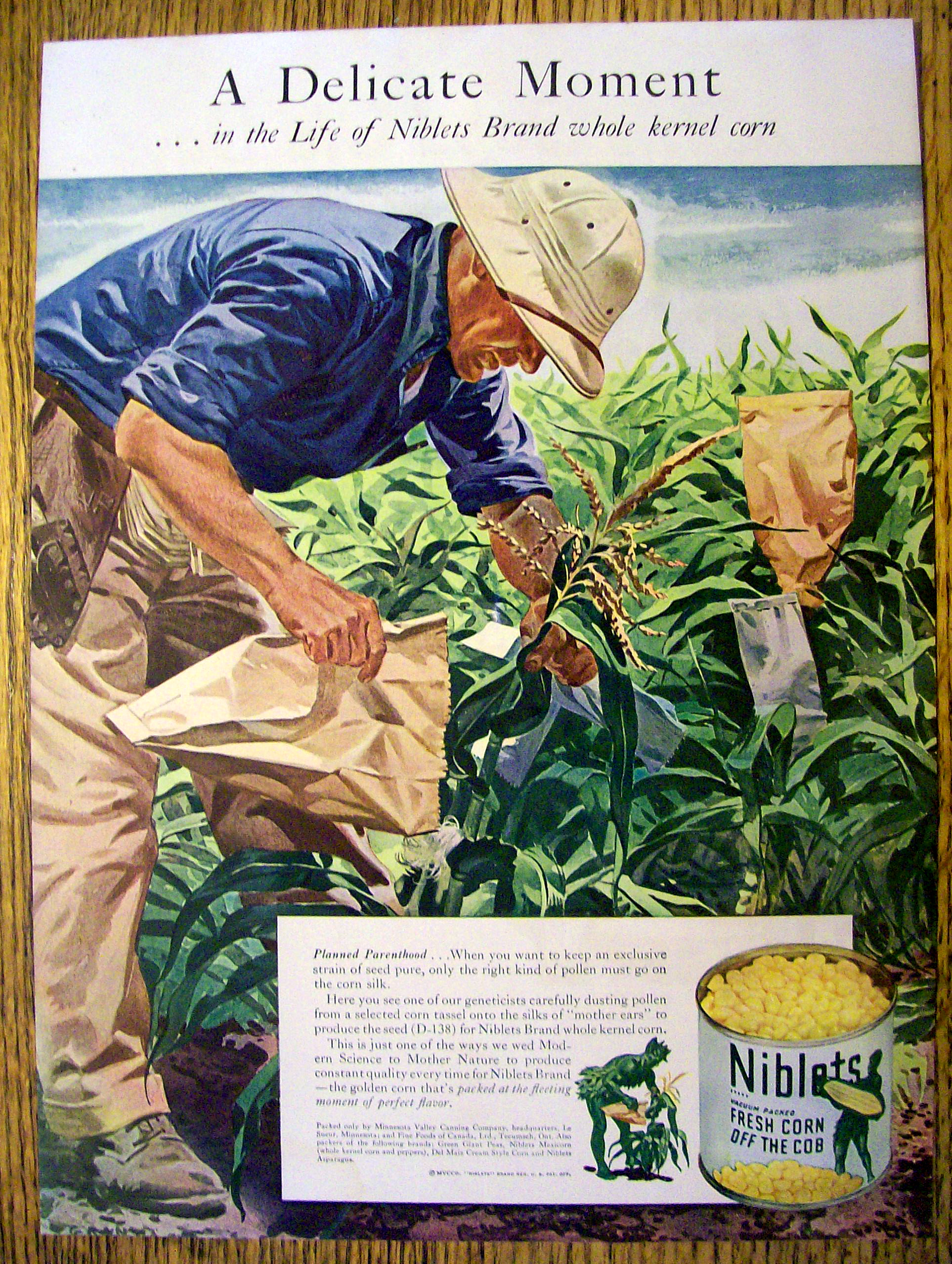 1944 Green Giant Corn