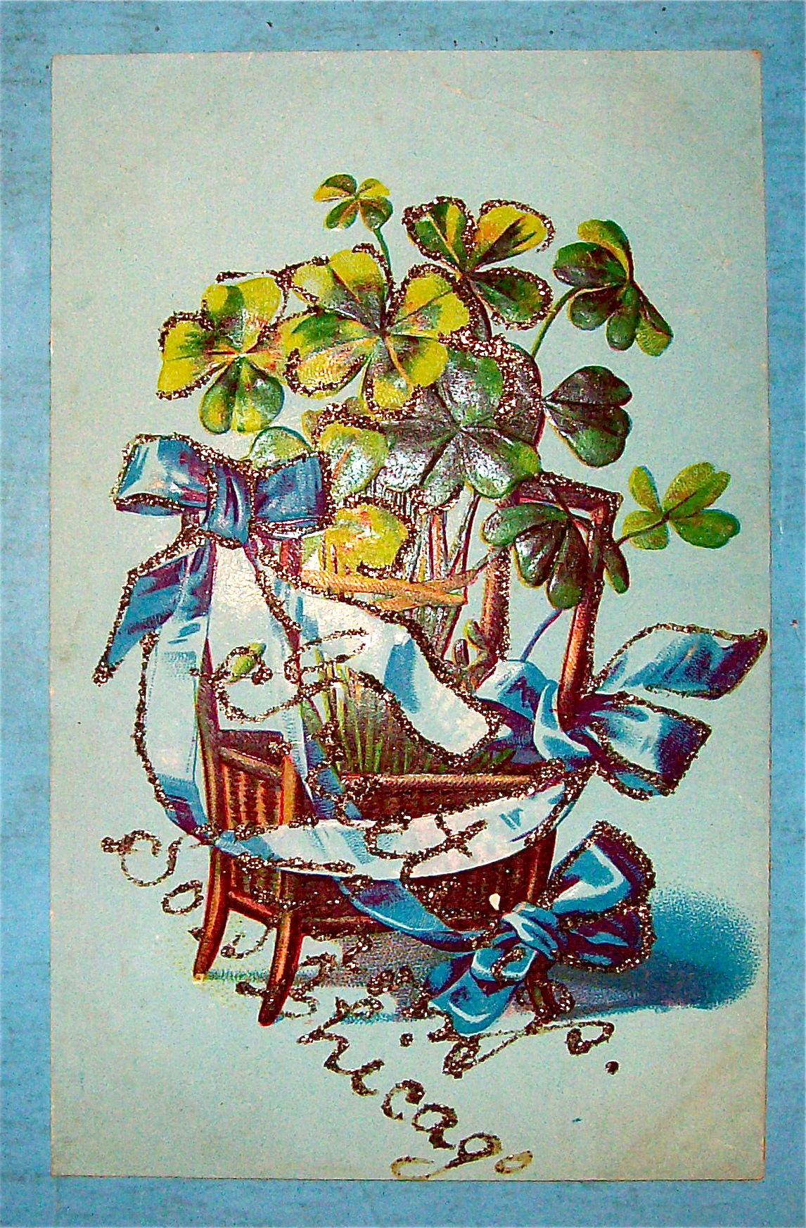 Four Leaf Clover Plant Postcard