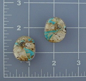 Navajo Royston Ribbon Turquoise Sterling Silver Clip Ea