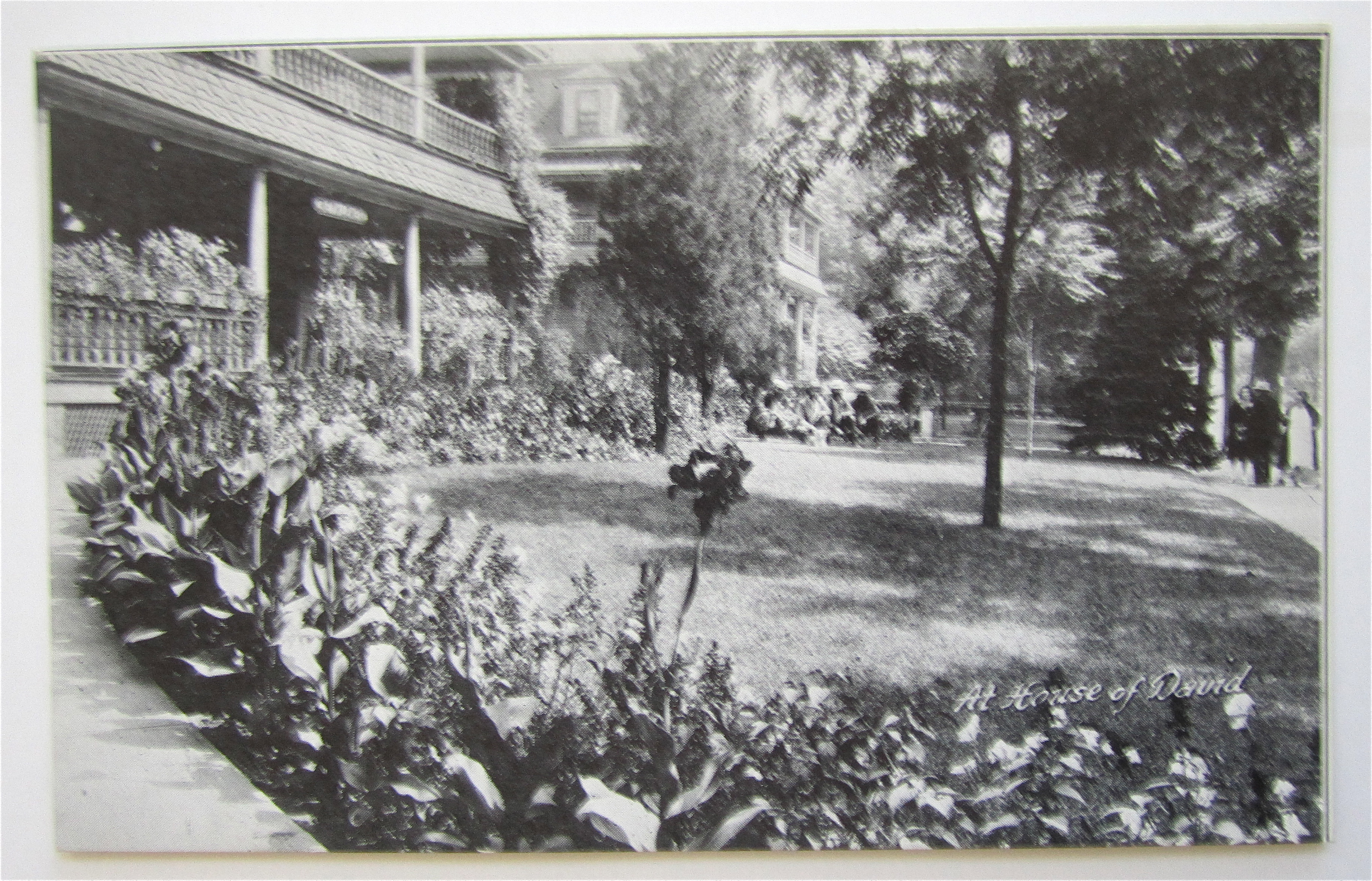 At House Of David, Benton Harbor, Michigan Postcard
